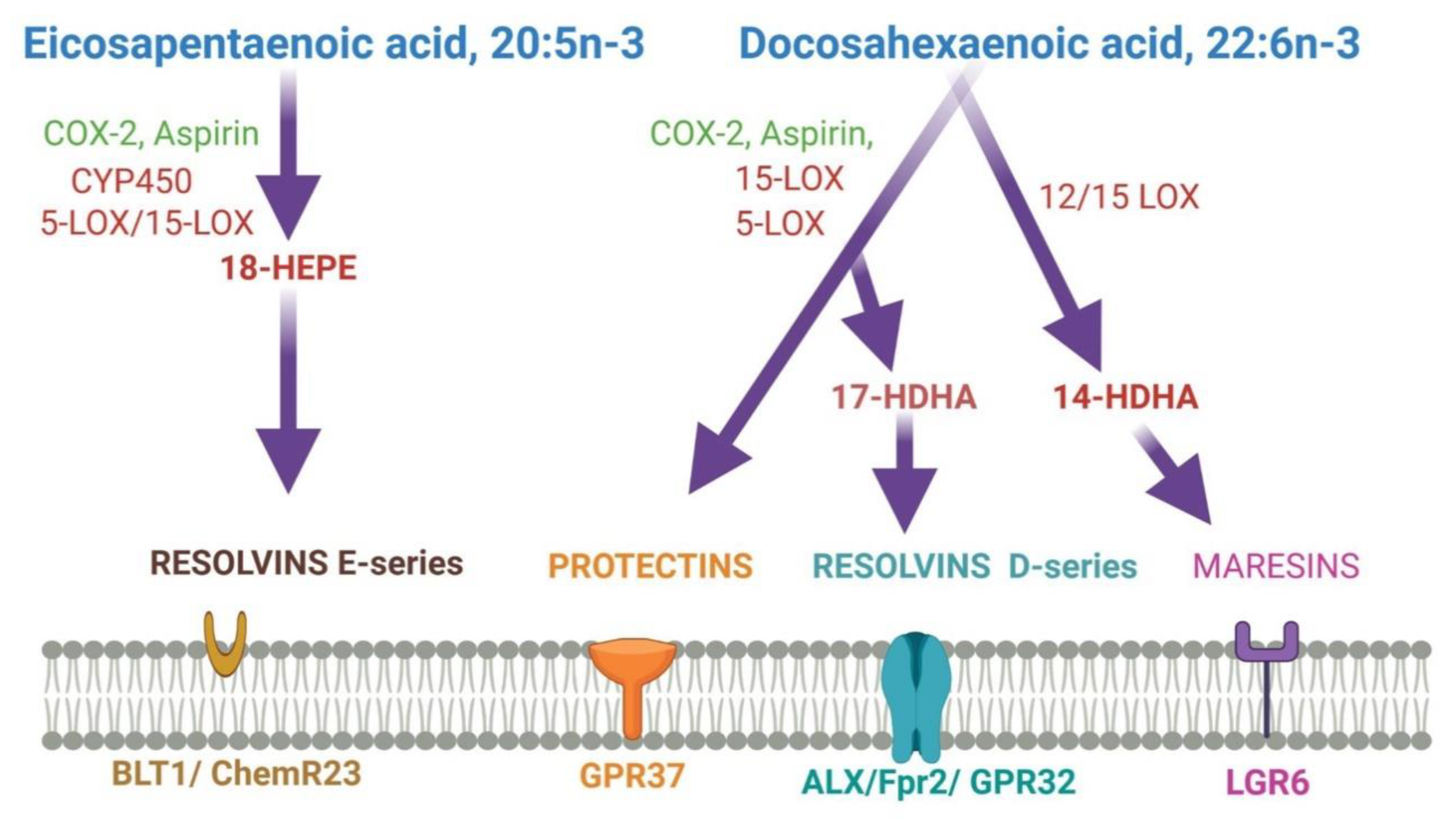 Nutrients 13 02061 g002