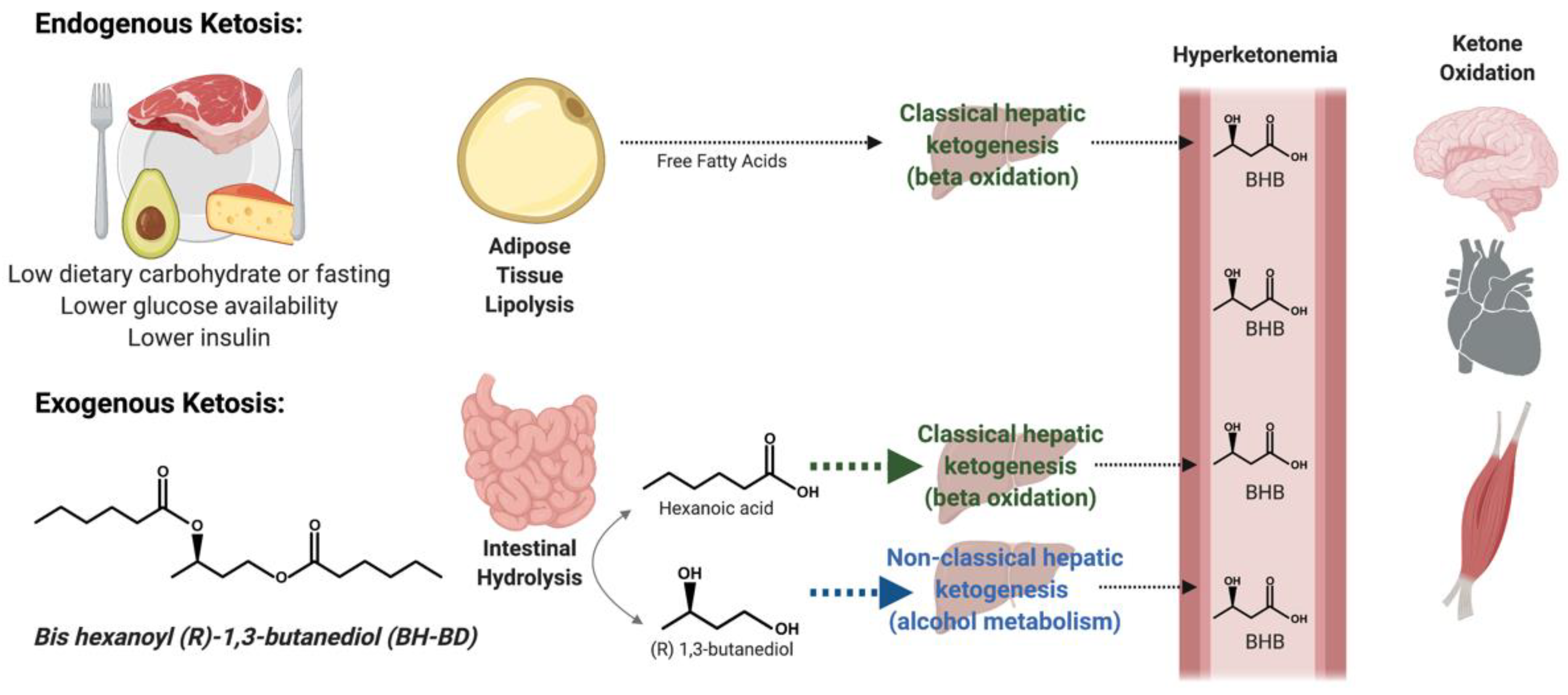 Nutrients 13 02066 g001 Nutrients 13 02066 g001