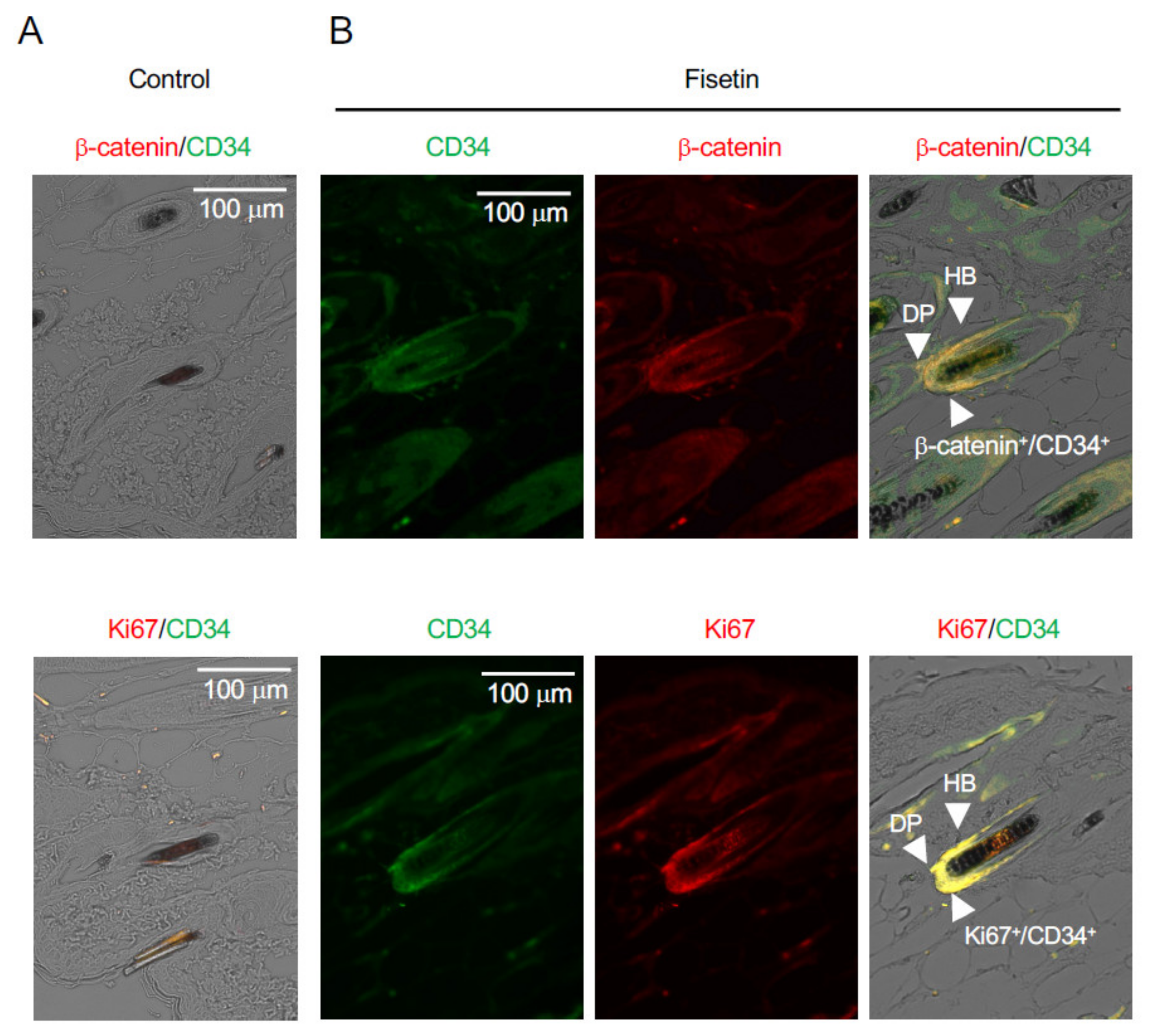 Nutrients 13 02087 g002