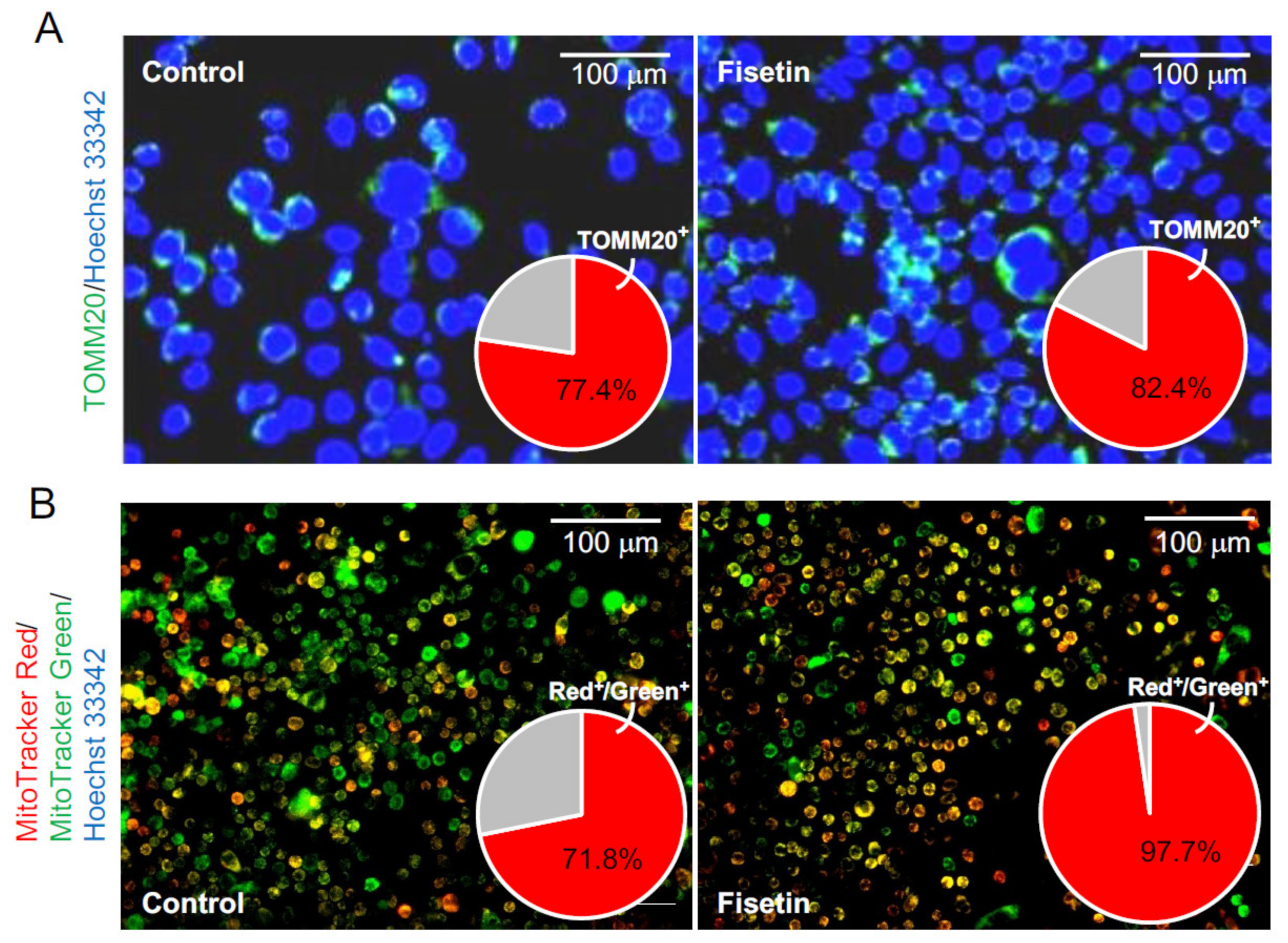 Nutrients 13 02087 g005