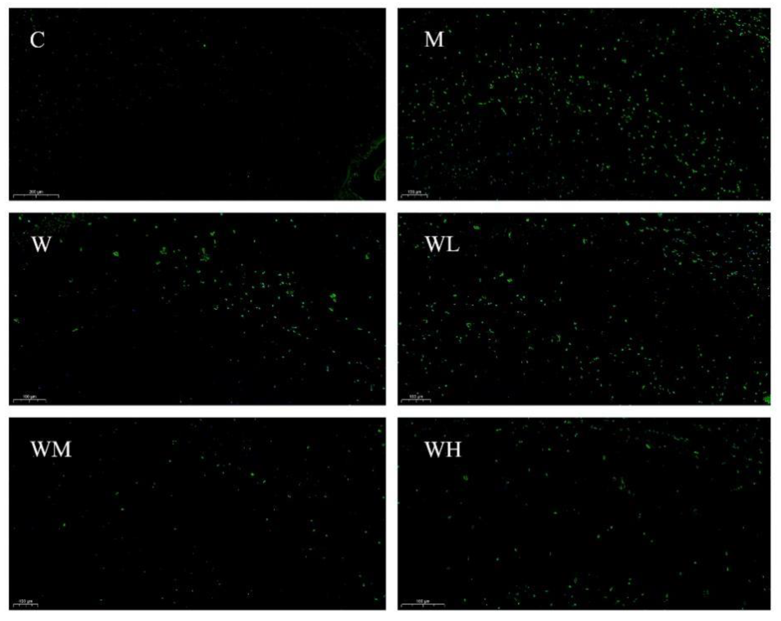 Nutrients 13 02100 g005