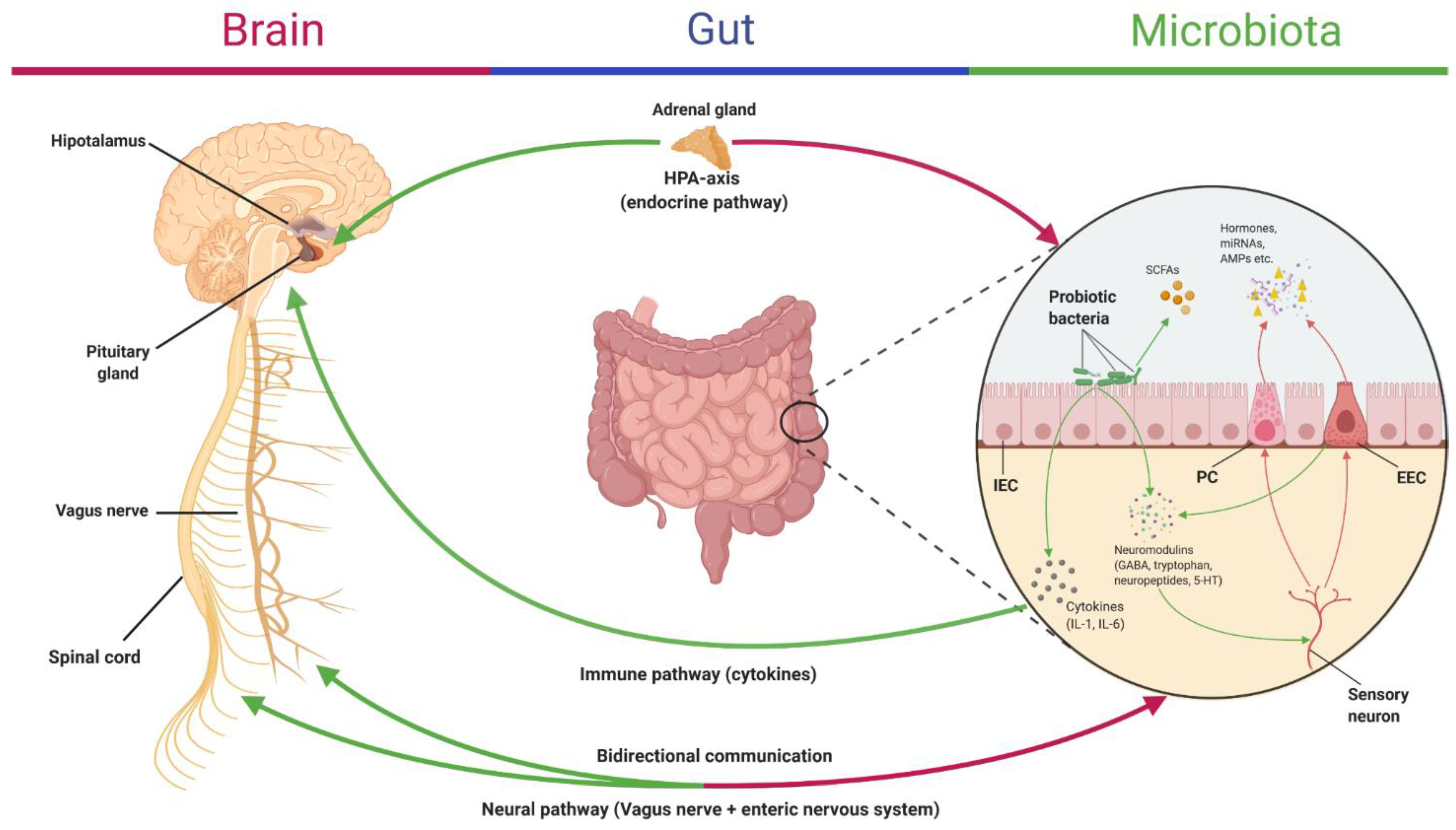 Nutrients 13 02112 g002 Nutrients 13 02112 g002