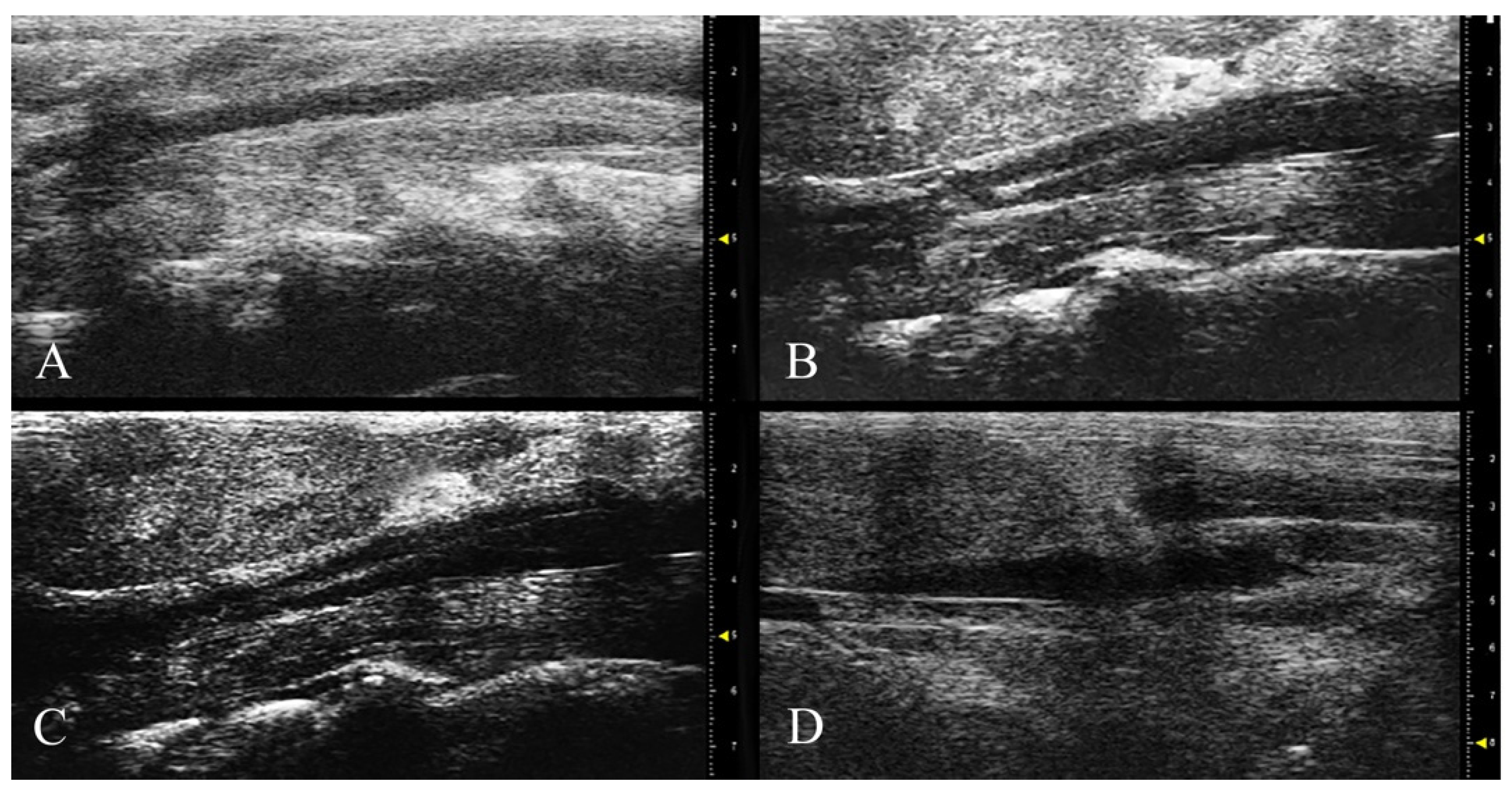 Nutrients 13 02137 g001 Nutrients 13 02137 g001