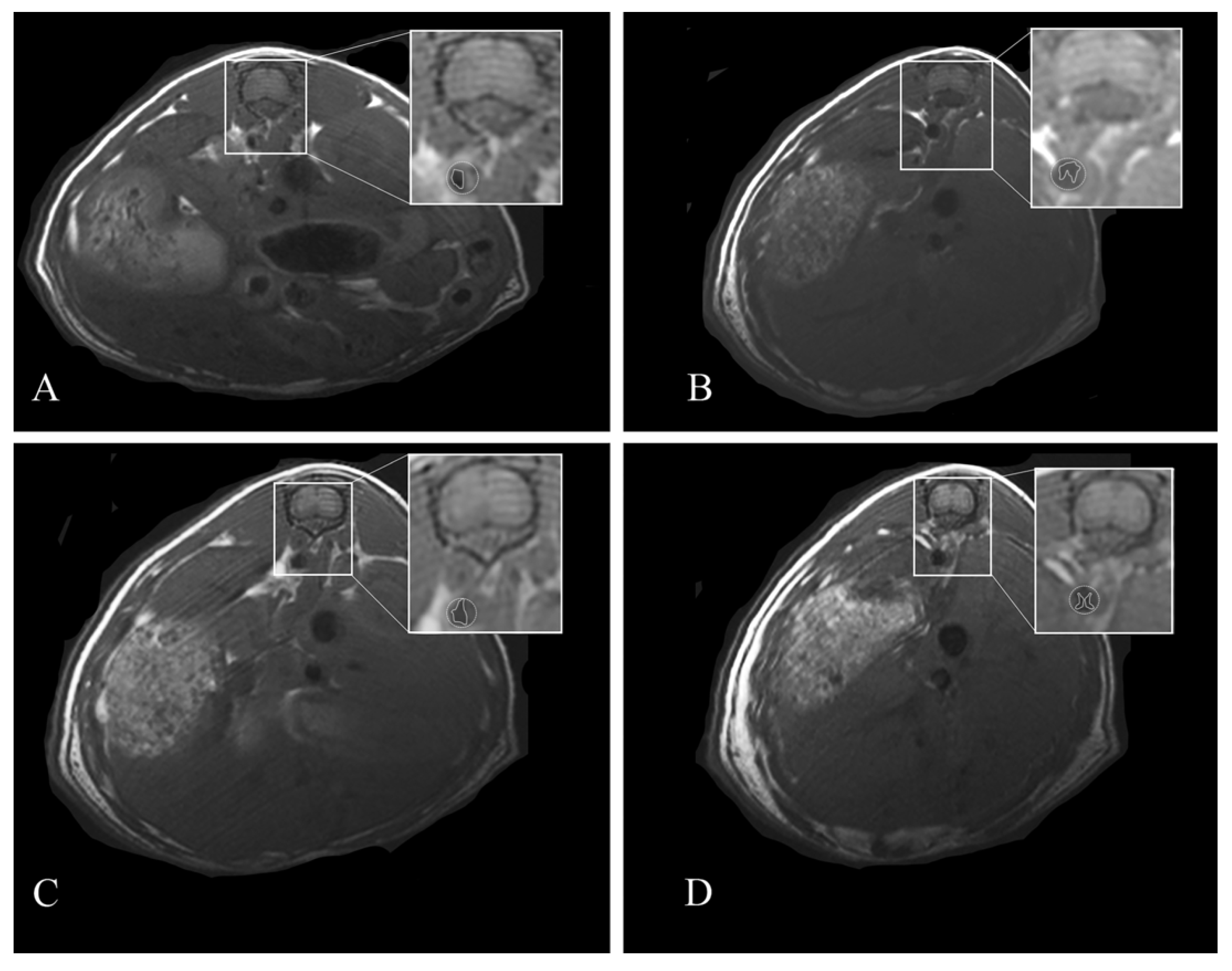 Nutrients 13 02137 g002 Nutrients 13 02137 g002