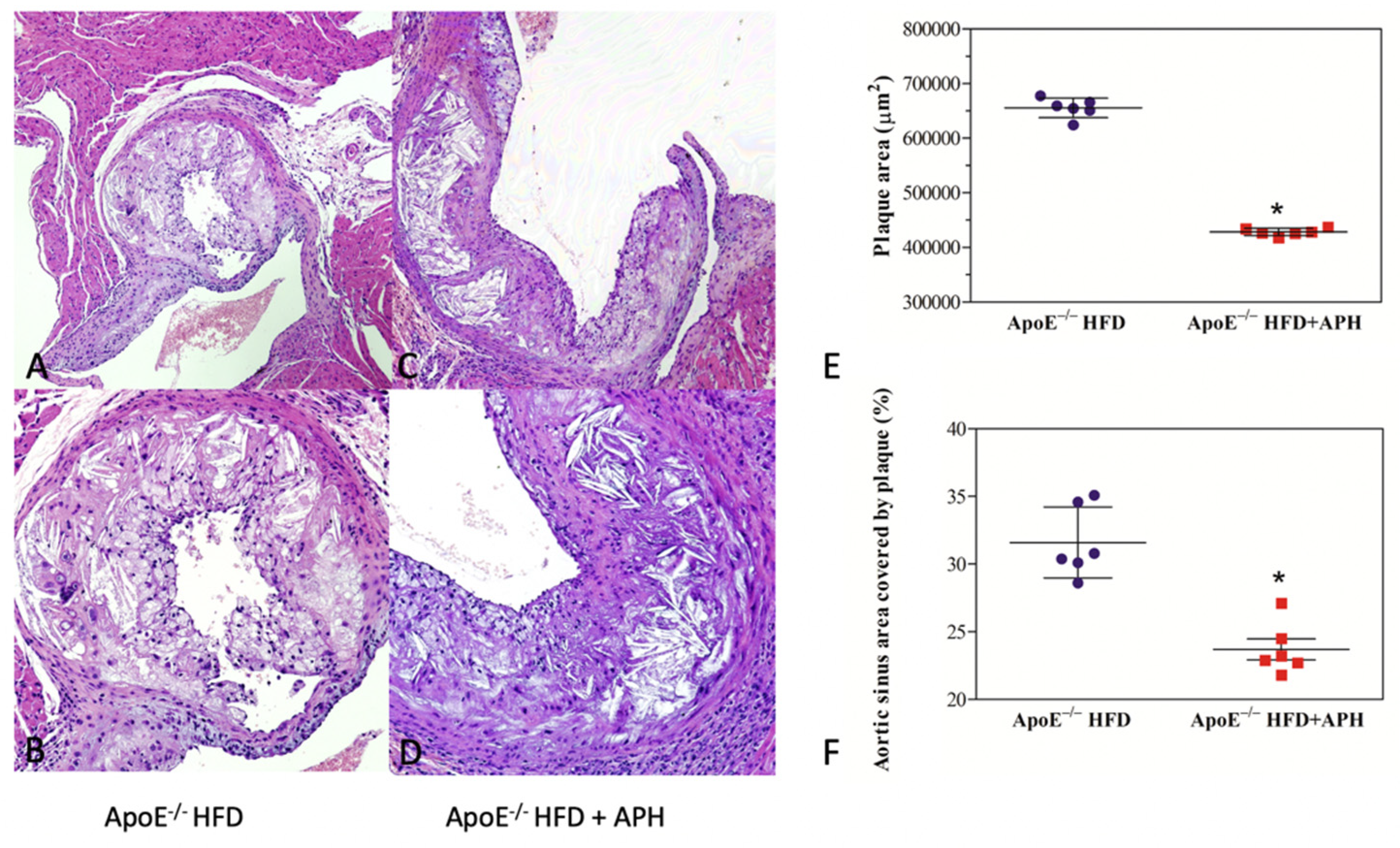 Nutrients 13 02137 g003 Nutrients 13 02137 g003