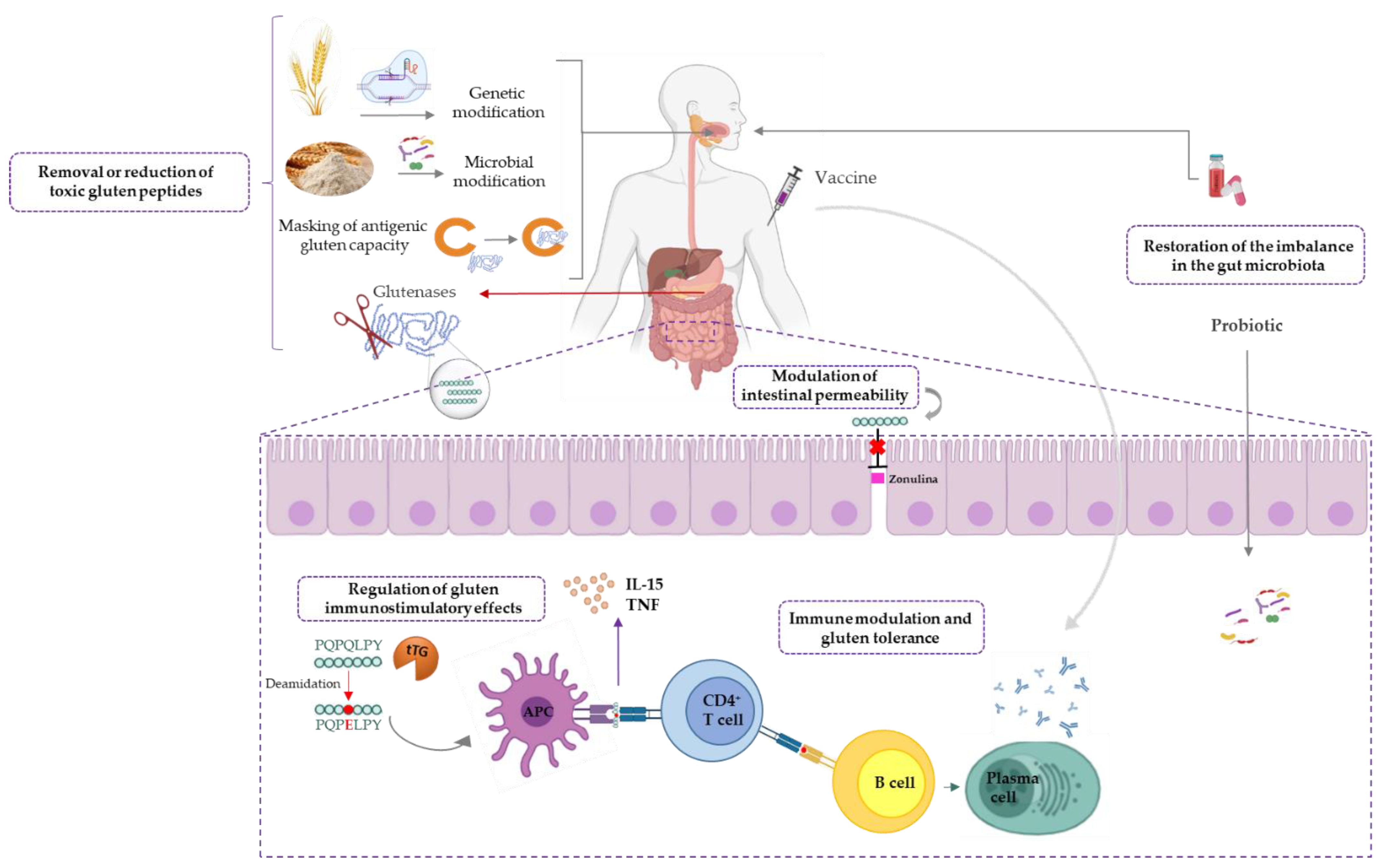 Nutrients 13 02146 g002