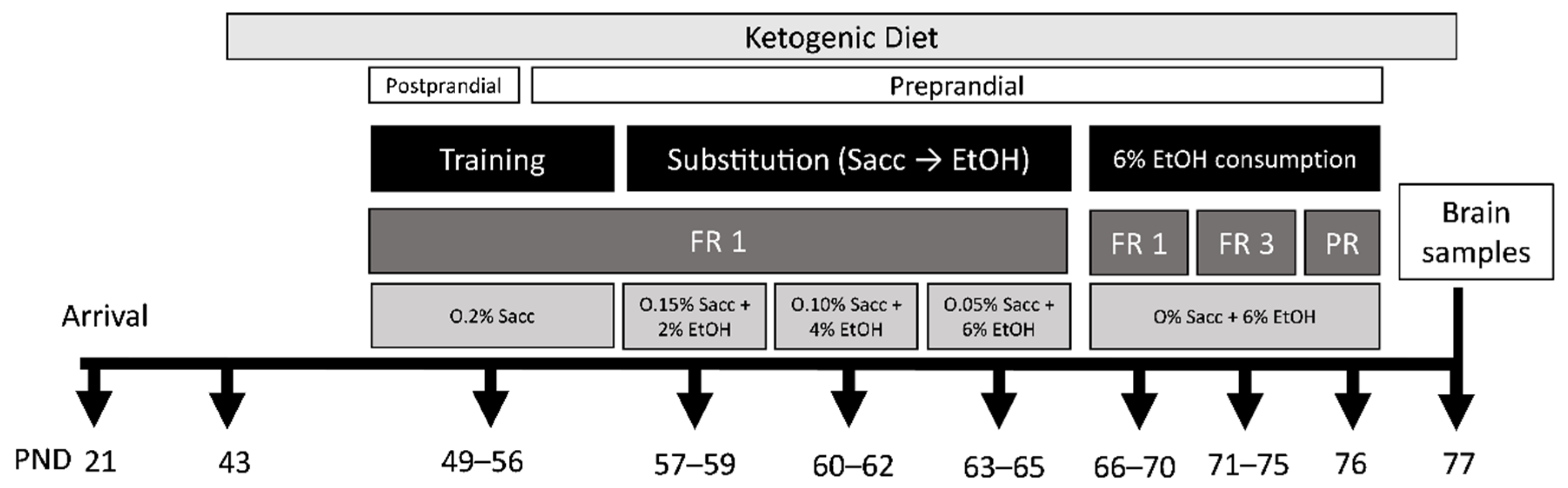 Nutrients 13 02167 g001