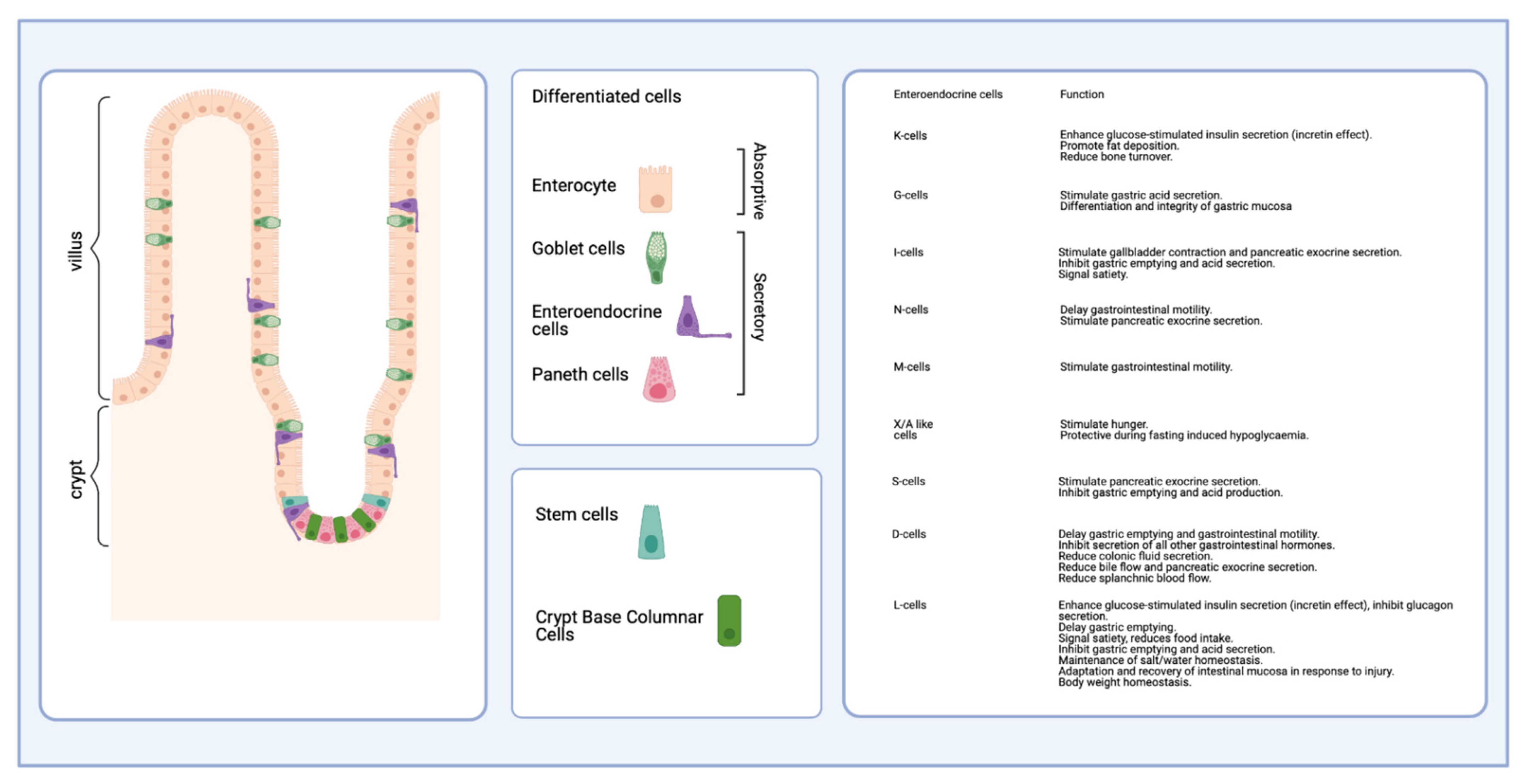 Nutrients 13 02198 g003 Nutrients 13 02198 g003