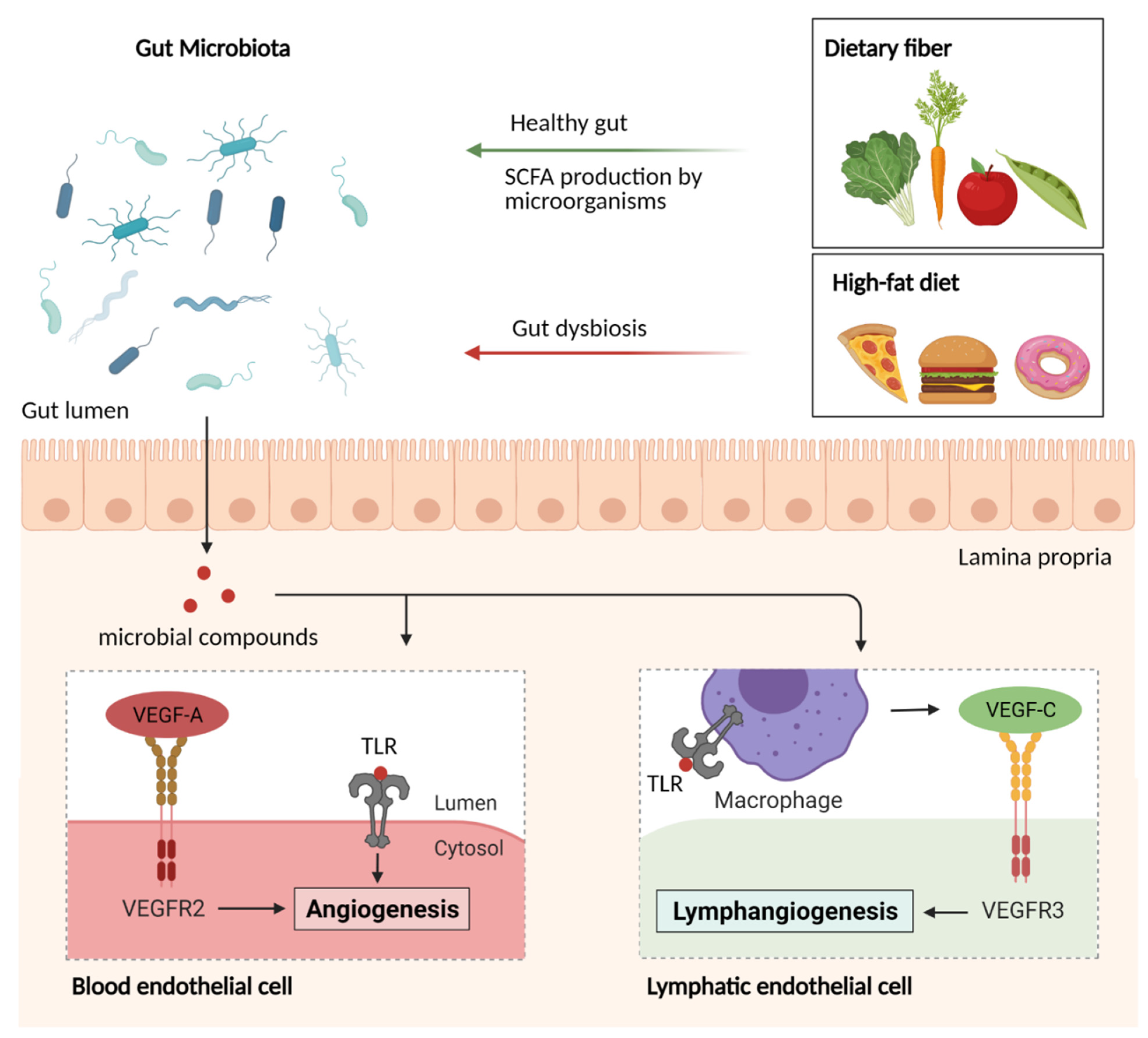 Nutrients 13 02198 g004 Nutrients 13 02198 g004