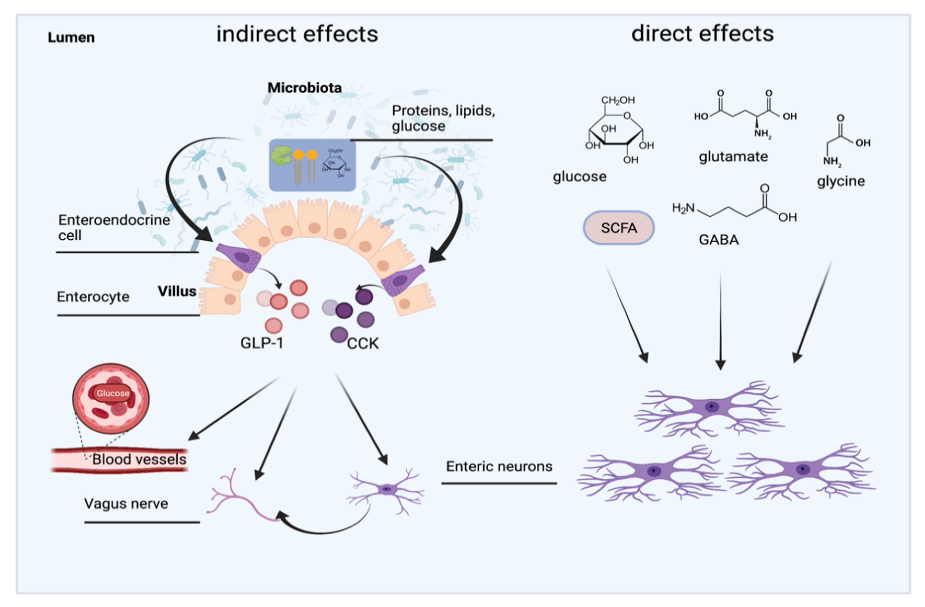 Nutrients 13 02198 g005 Nutrients 13 02198 g005