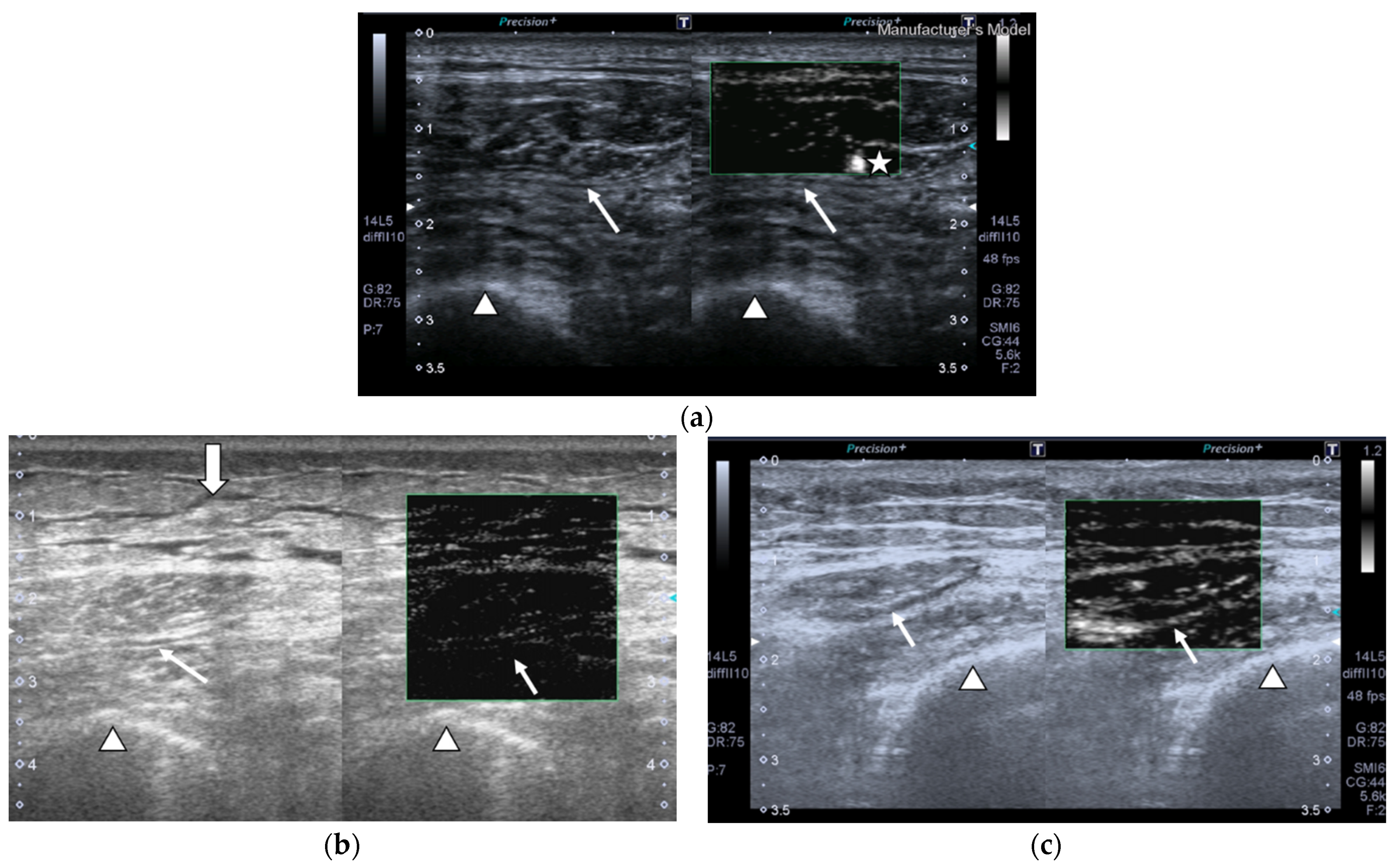 Nutrients 13 02224 g002