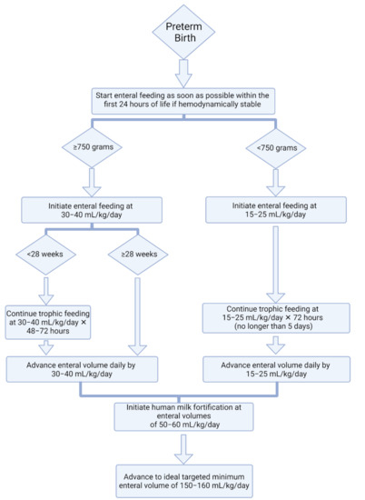 Early Enteral Feeding in Preterm Infants: A Narrative Review of the ...