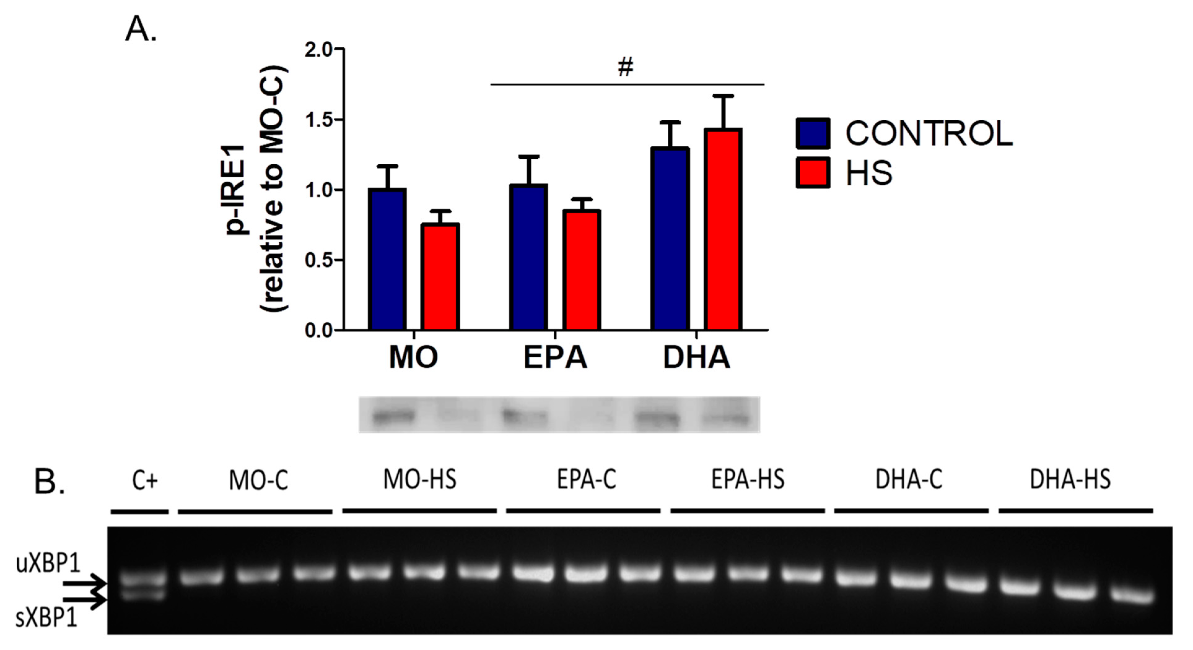 Nutrients 13 02298 g001
