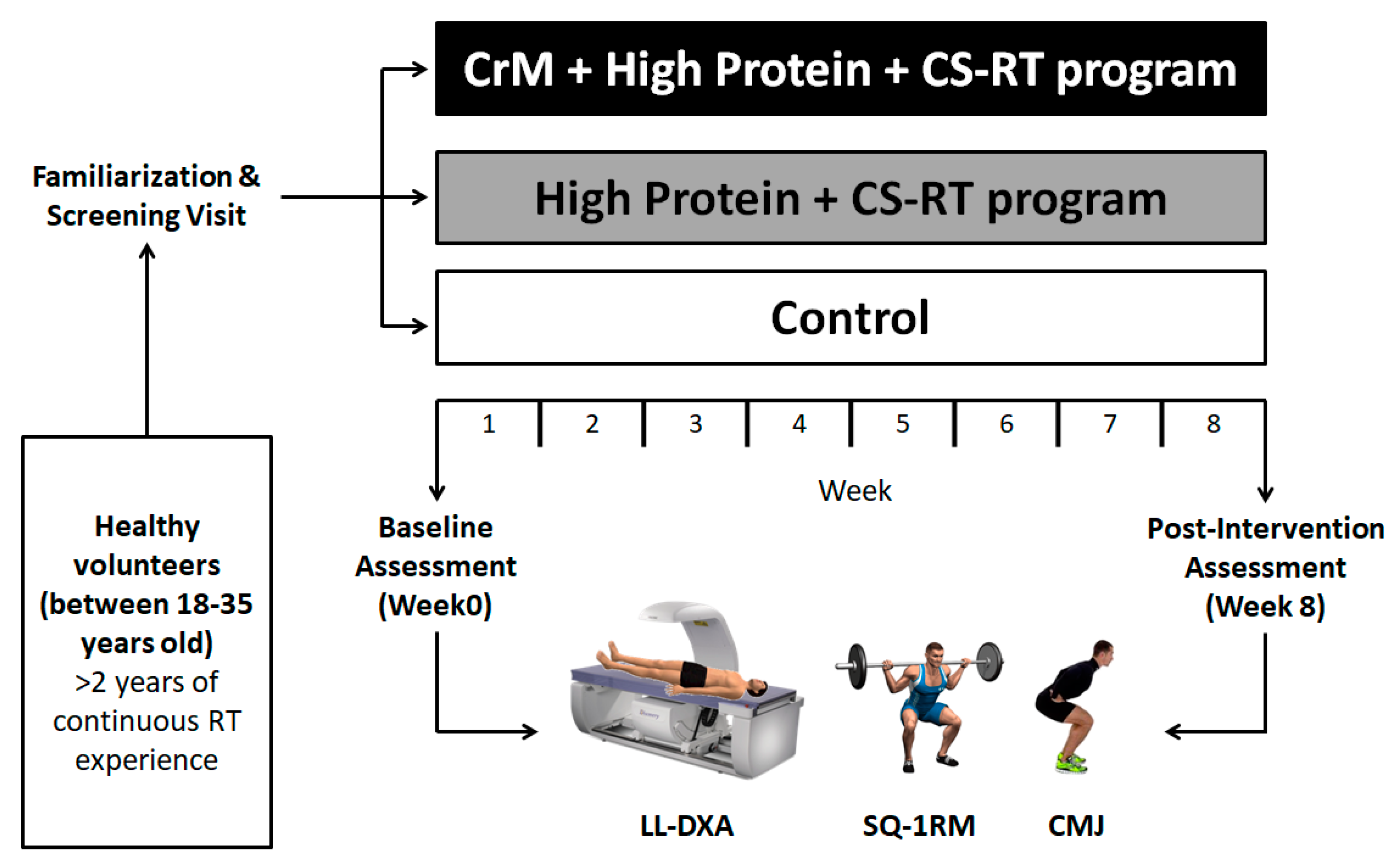 Nutrients Free FullText Creatine Enhances the Effects of ClusterSet Resistance Training on