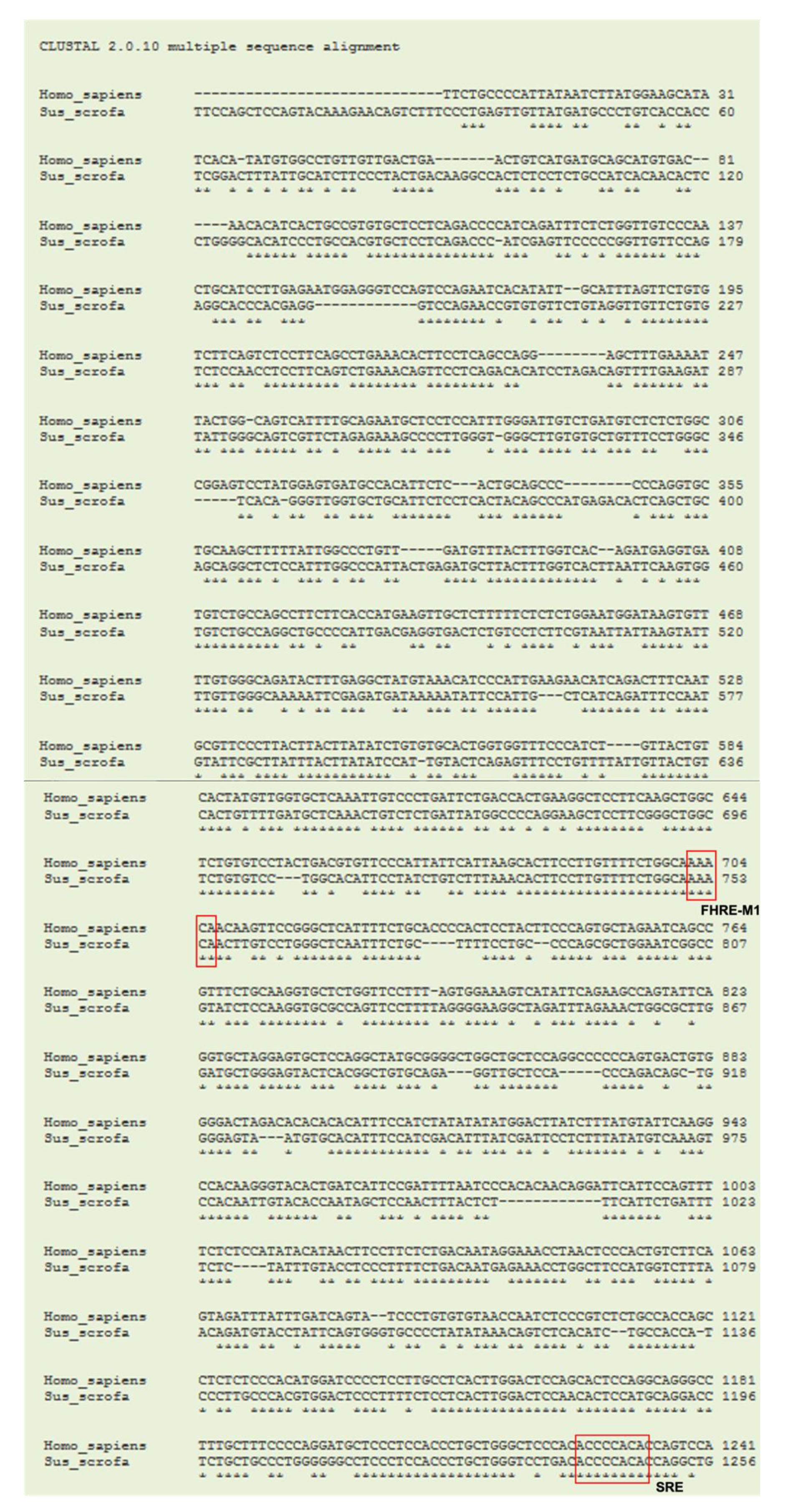 Nutrients 13 02315 g005a