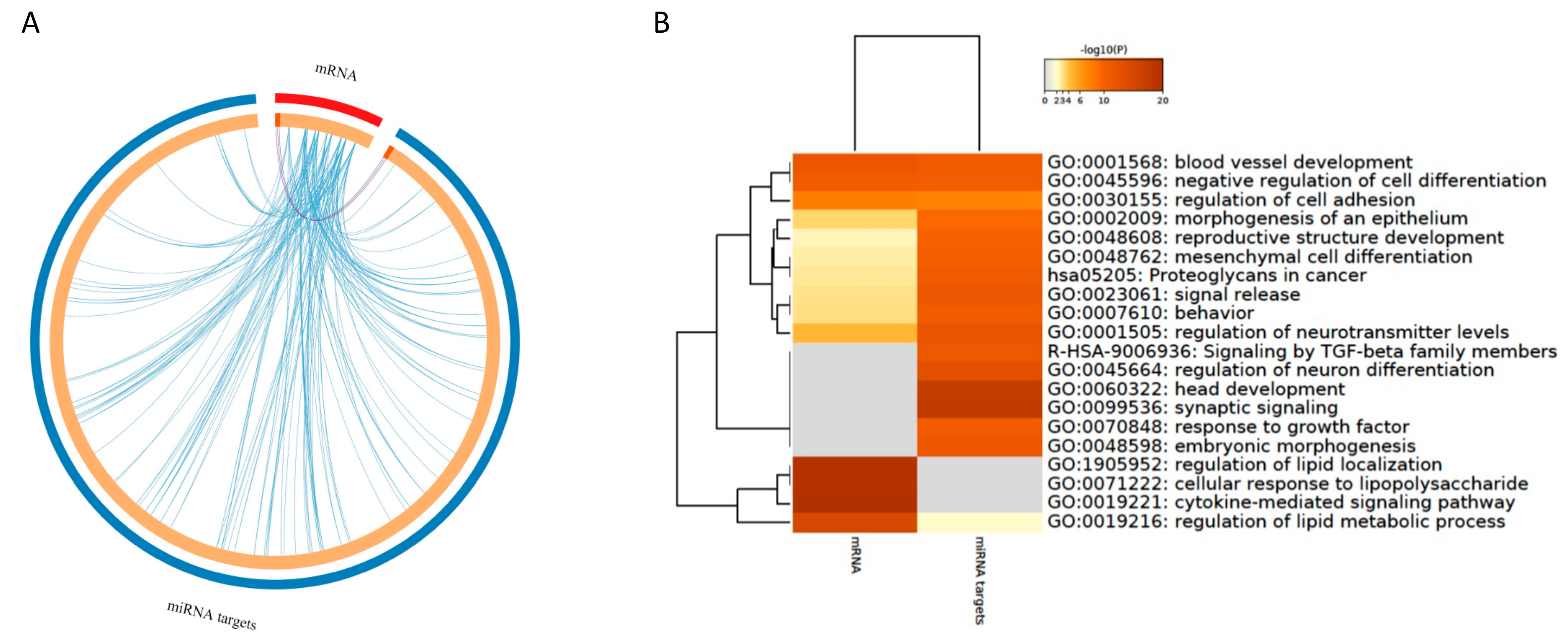 Nutrients 13 02326 g008 550