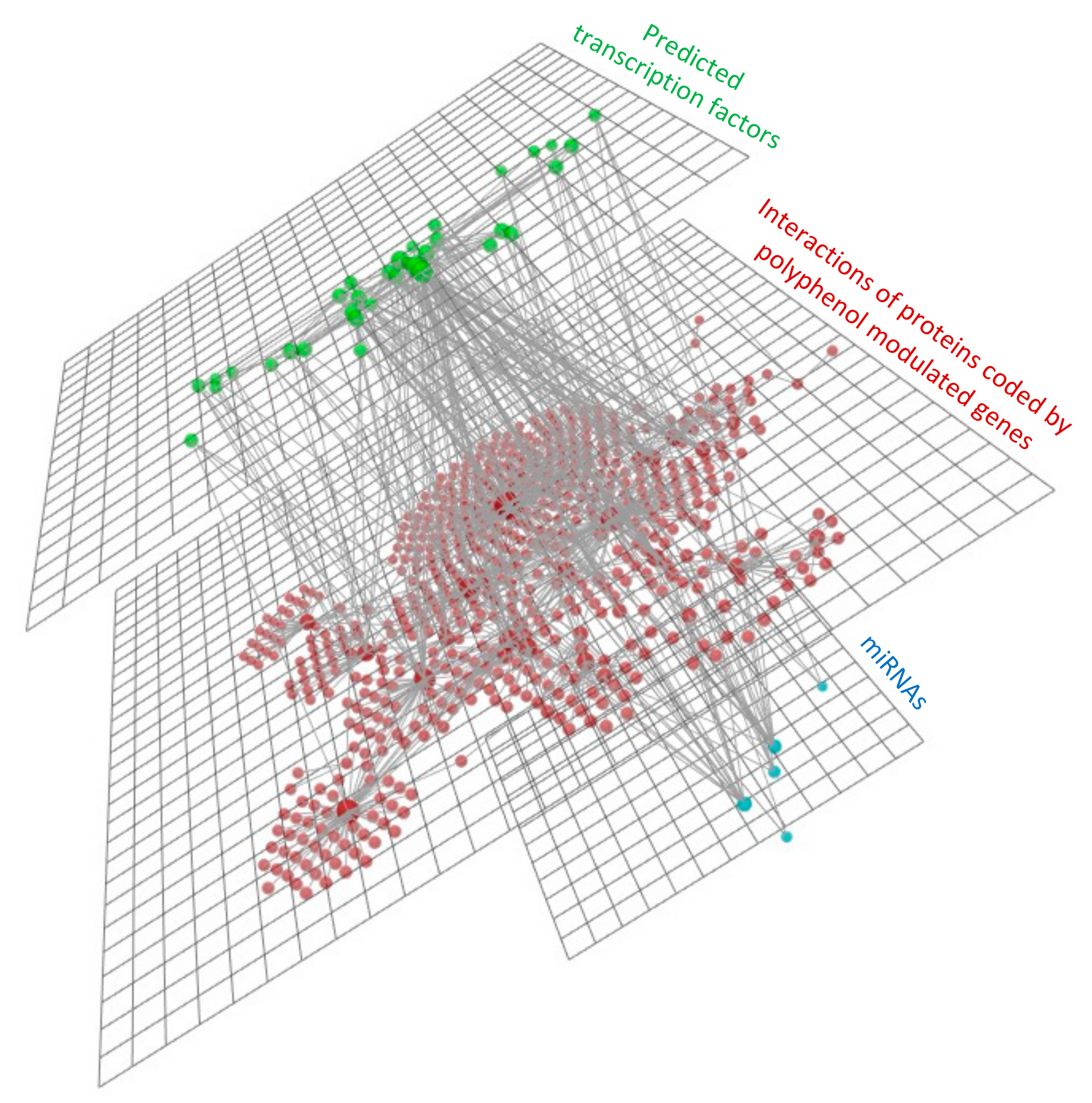 Nutrients 13 02326 g010 550