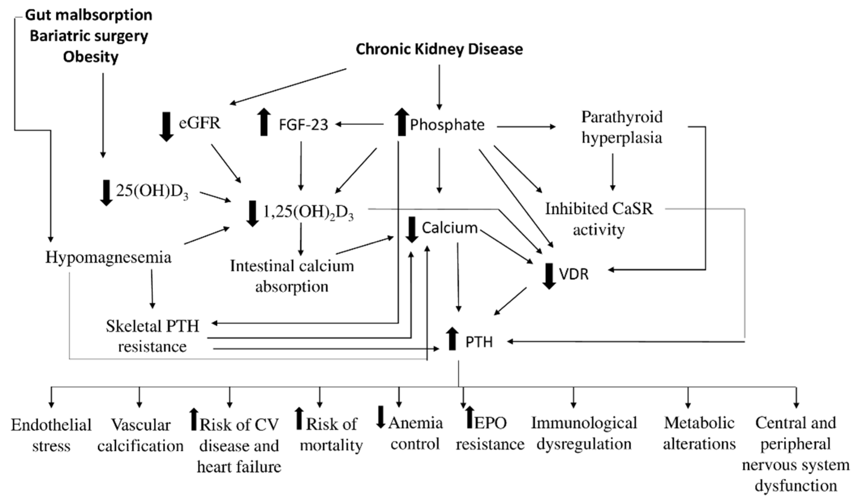 Nutrients 13 02328 g001