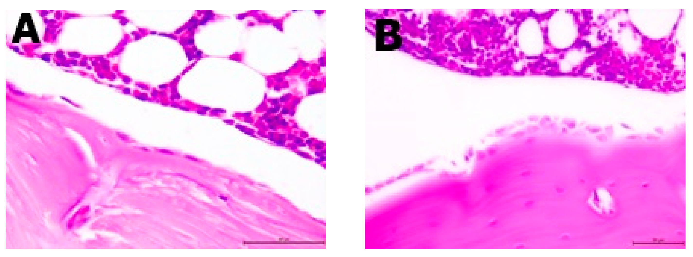 Nutrients 13 02334 g003 550