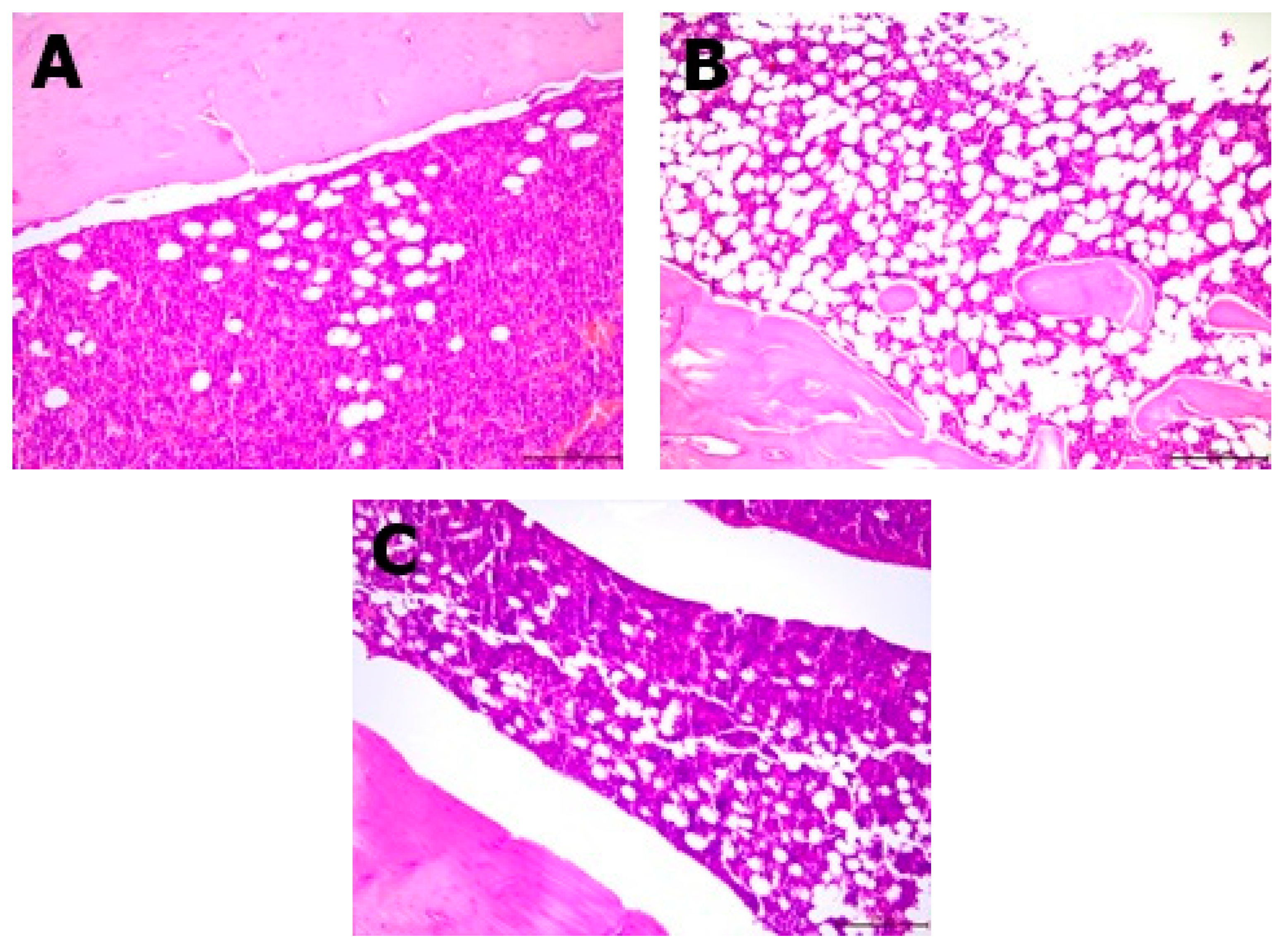 Nutrients 13 02334 g004 550