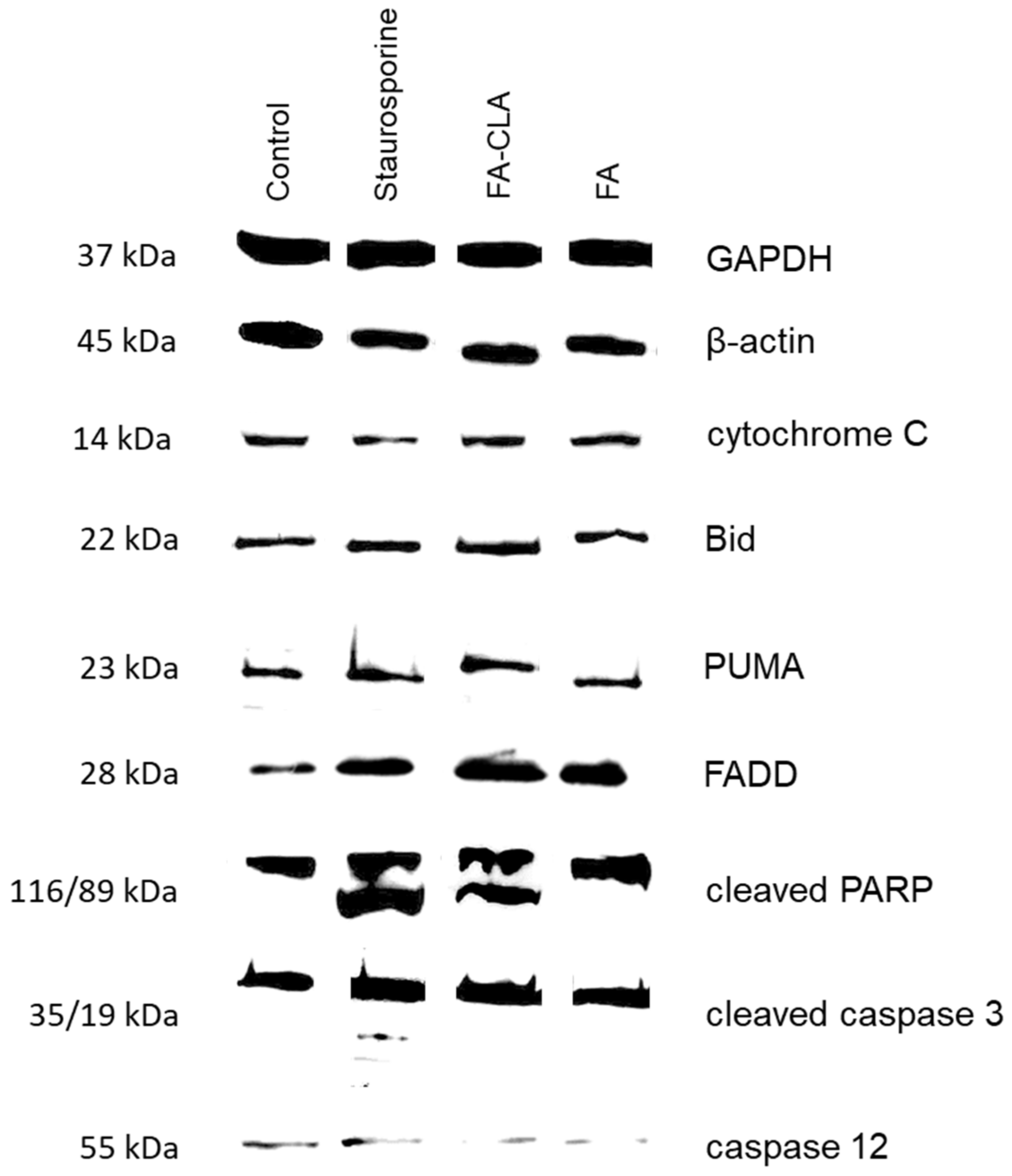 Nutrients 13 02348 g004