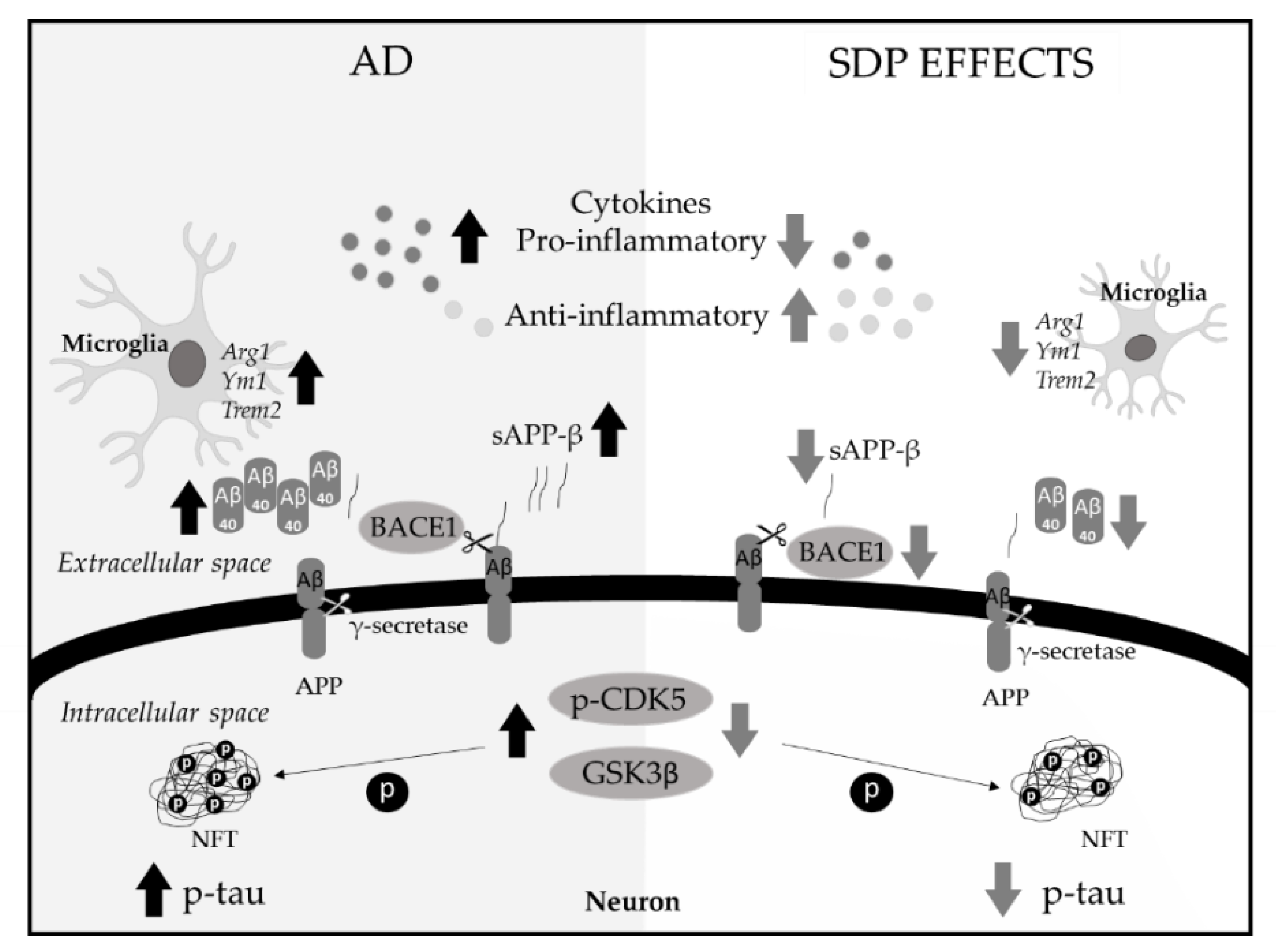 Nutrients 13 02369 g006 Nutrients 13 02369 g006