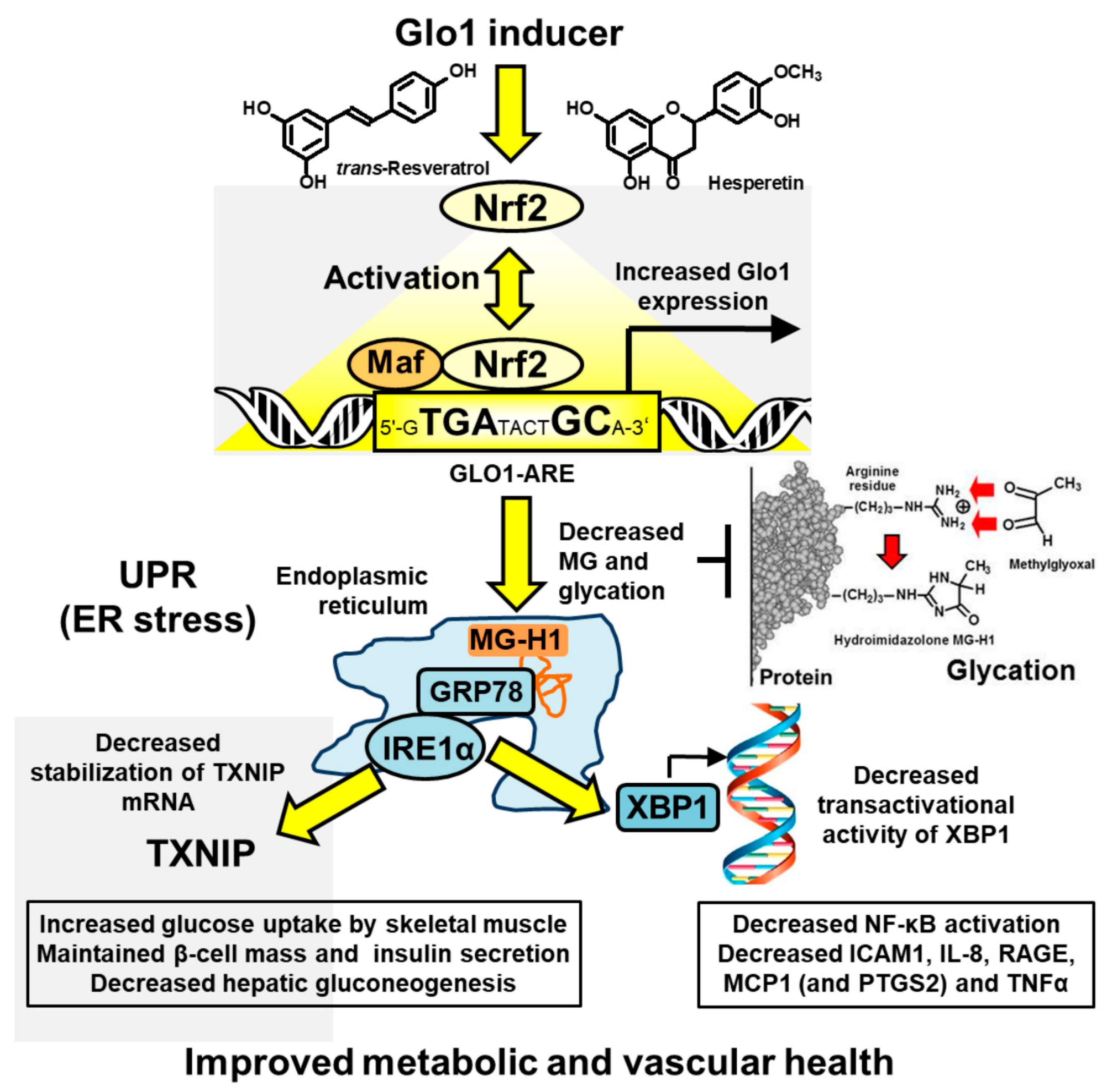 Nutrients 13 02374 g003 550