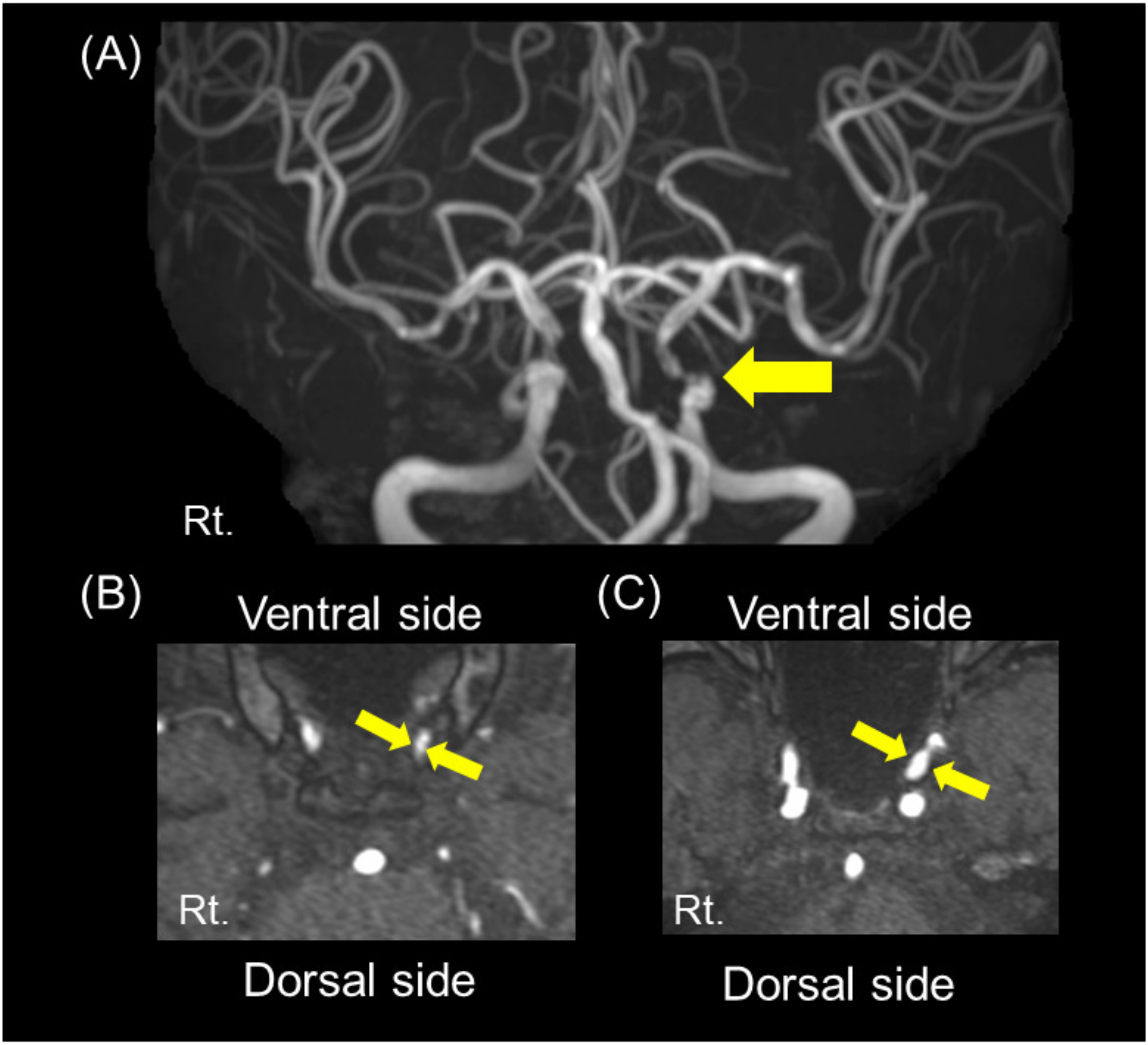 Nutrients 13 02379 g003