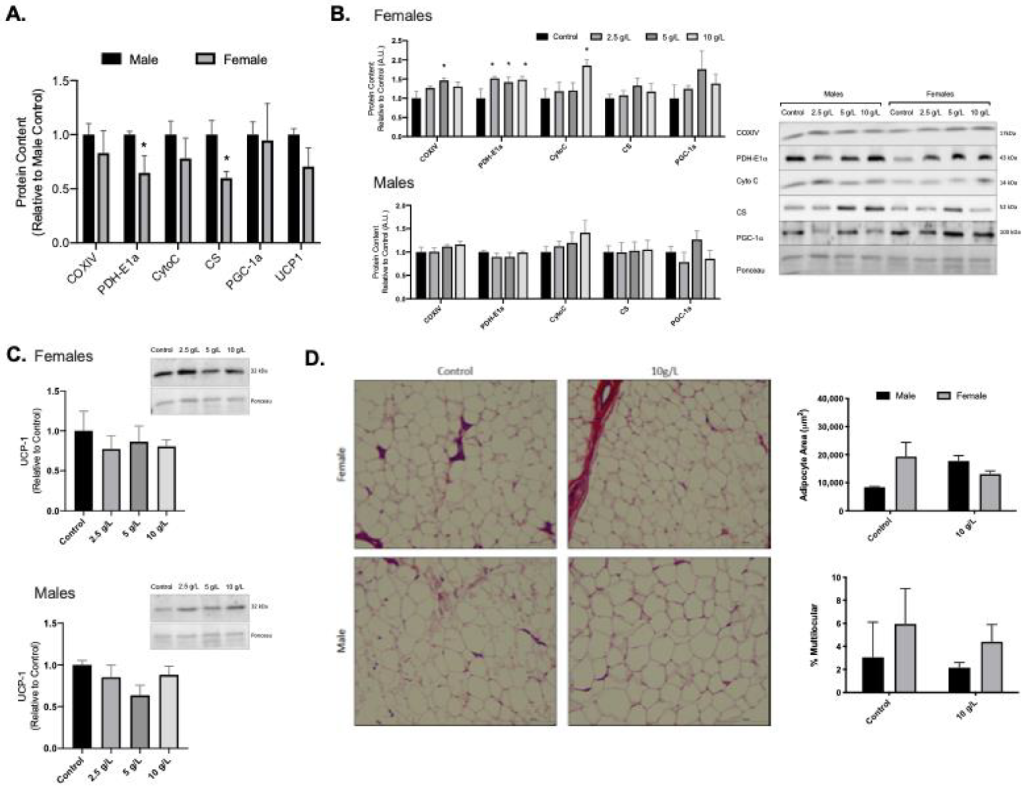 Nutrients 13 02406 g001 Nutrients 13 02406 g001