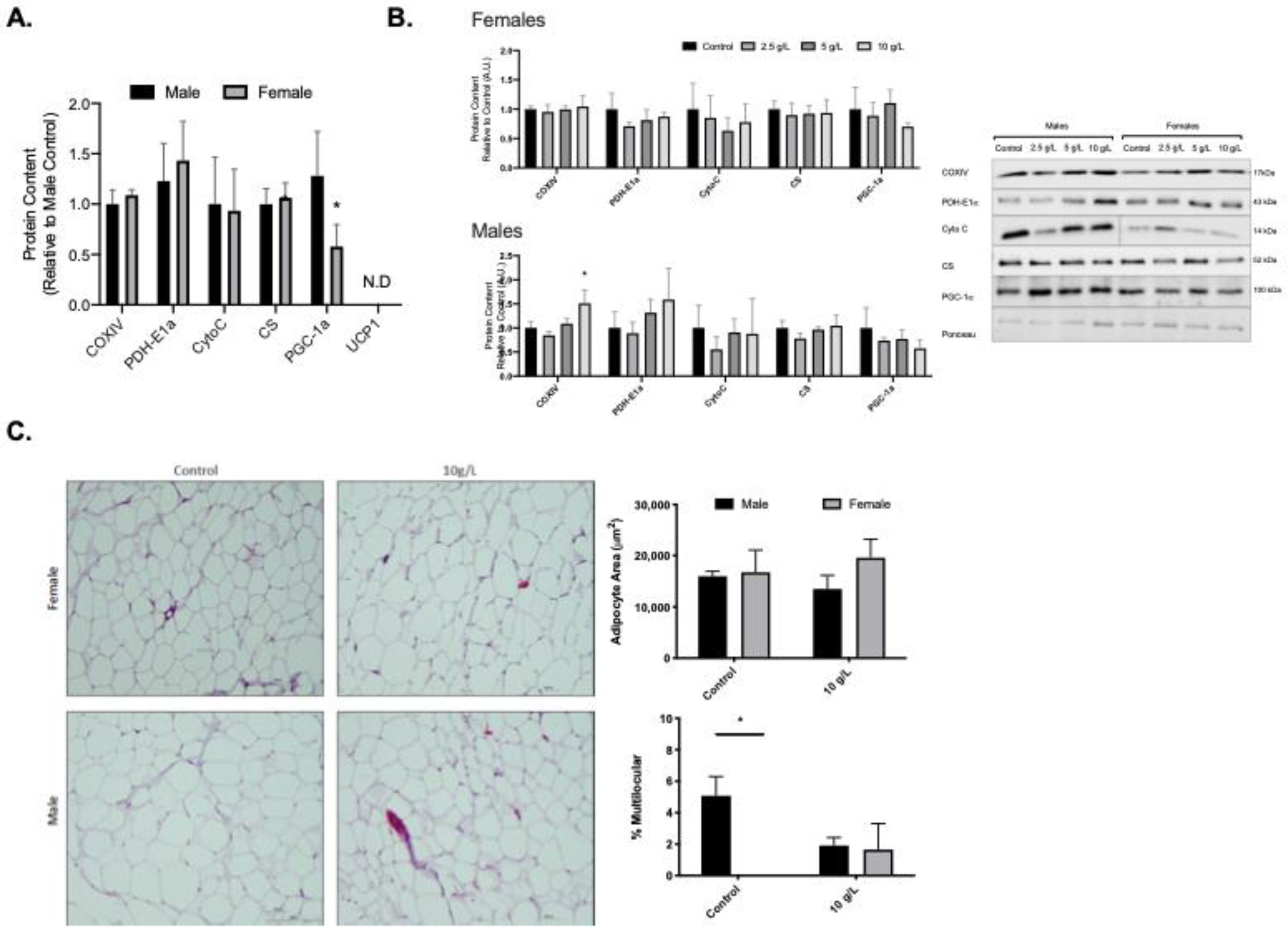 Nutrients 13 02406 g002 Nutrients 13 02406 g002