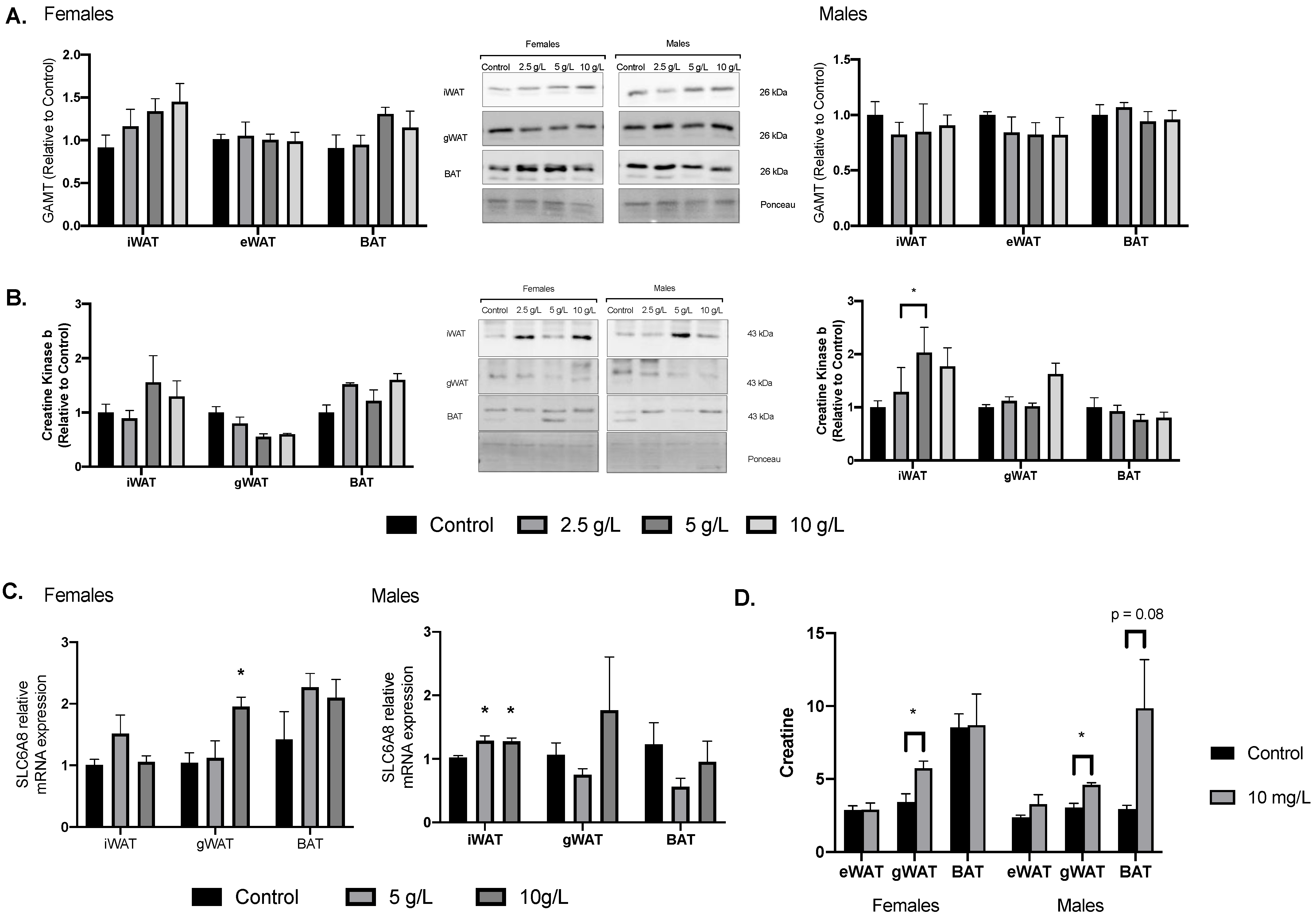 Nutrients 13 02406 g004 Nutrients 13 02406 g004