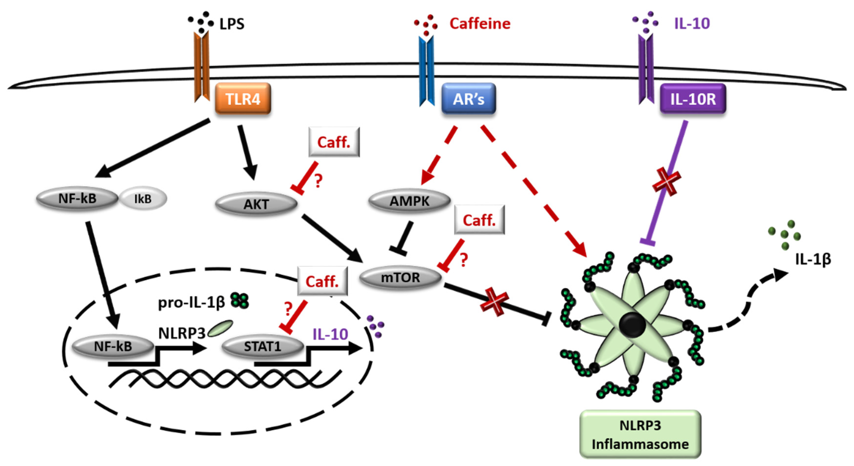 Nutrients 13 02409 g007