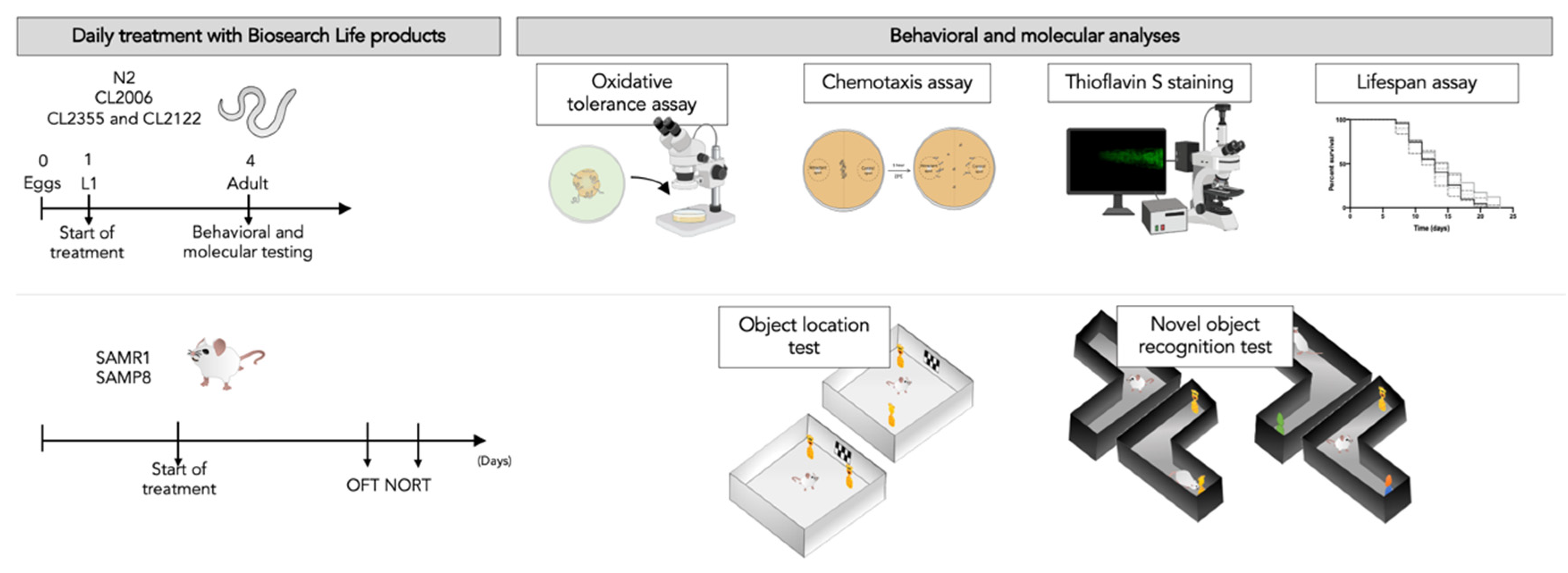 Nutrients 13 02411 g001