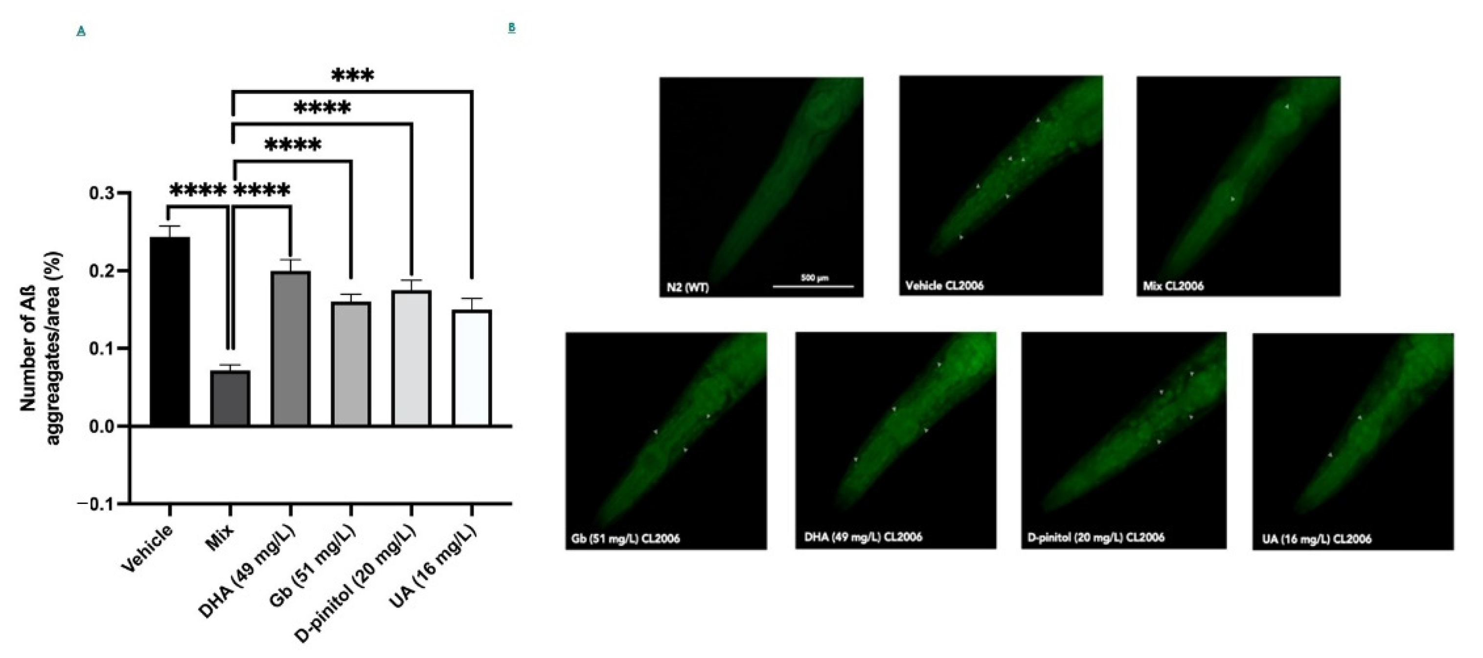 Nutrients 13 02411 g005