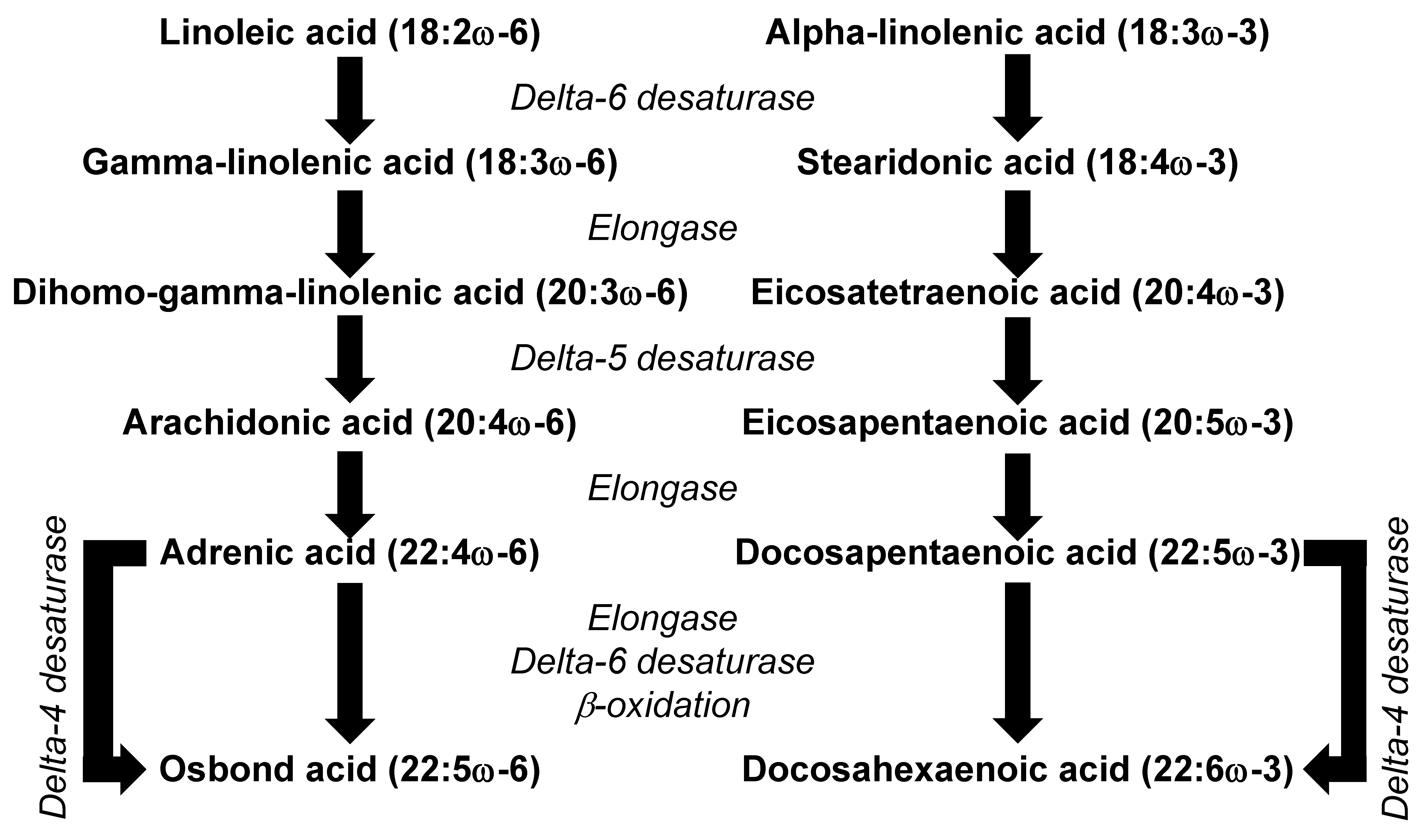 Nutrients 13 02421 g003
