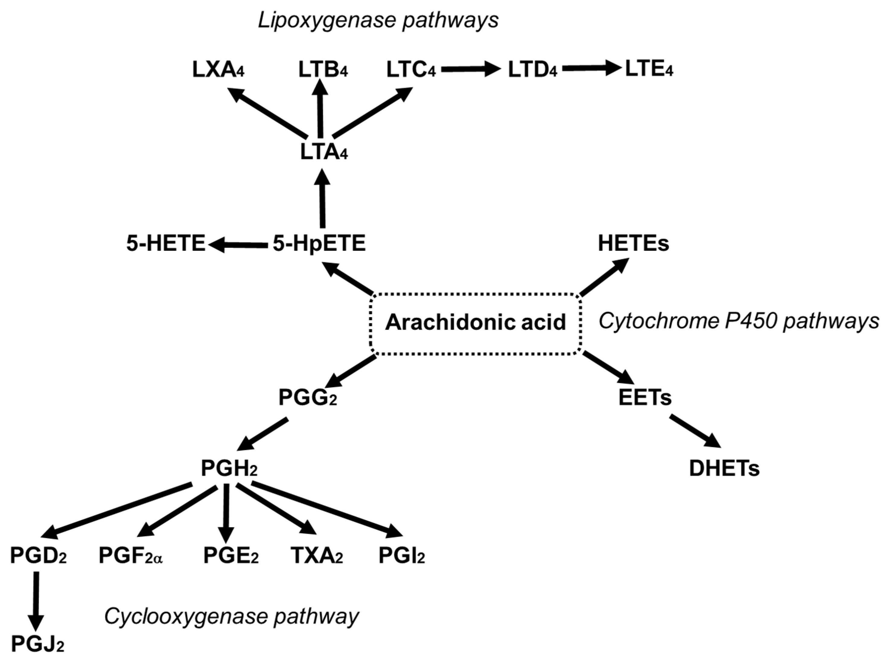 Nutrients 13 02421 g004