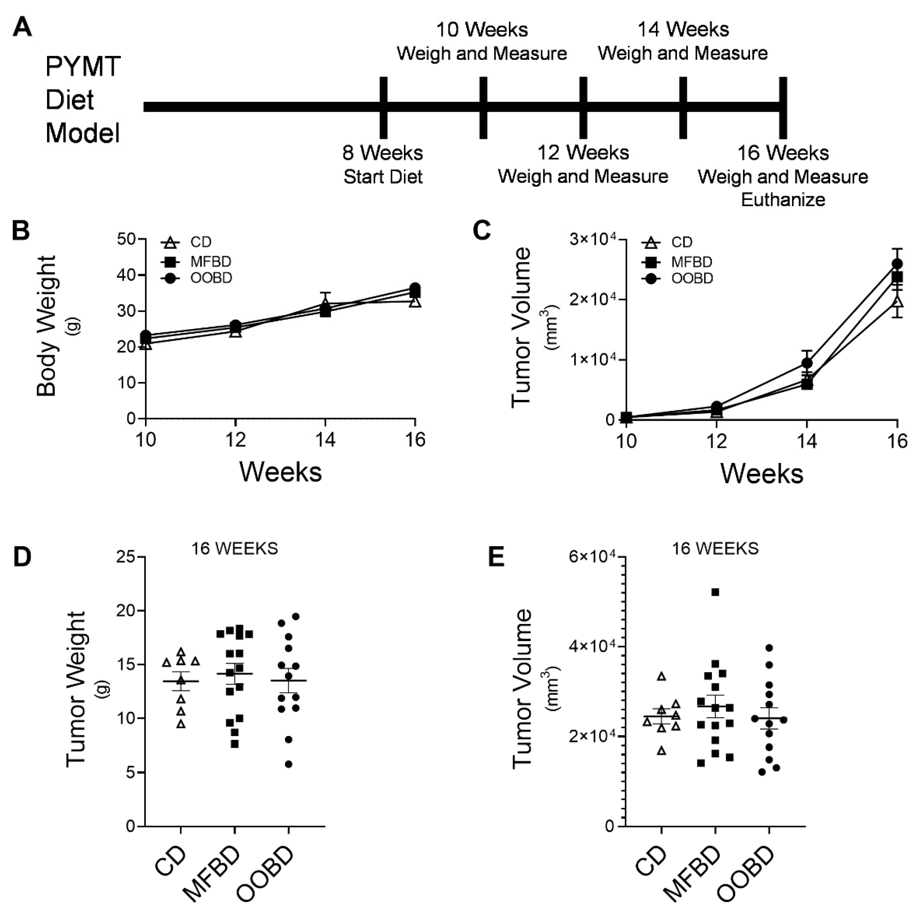 Nutrients 13 02431 g001