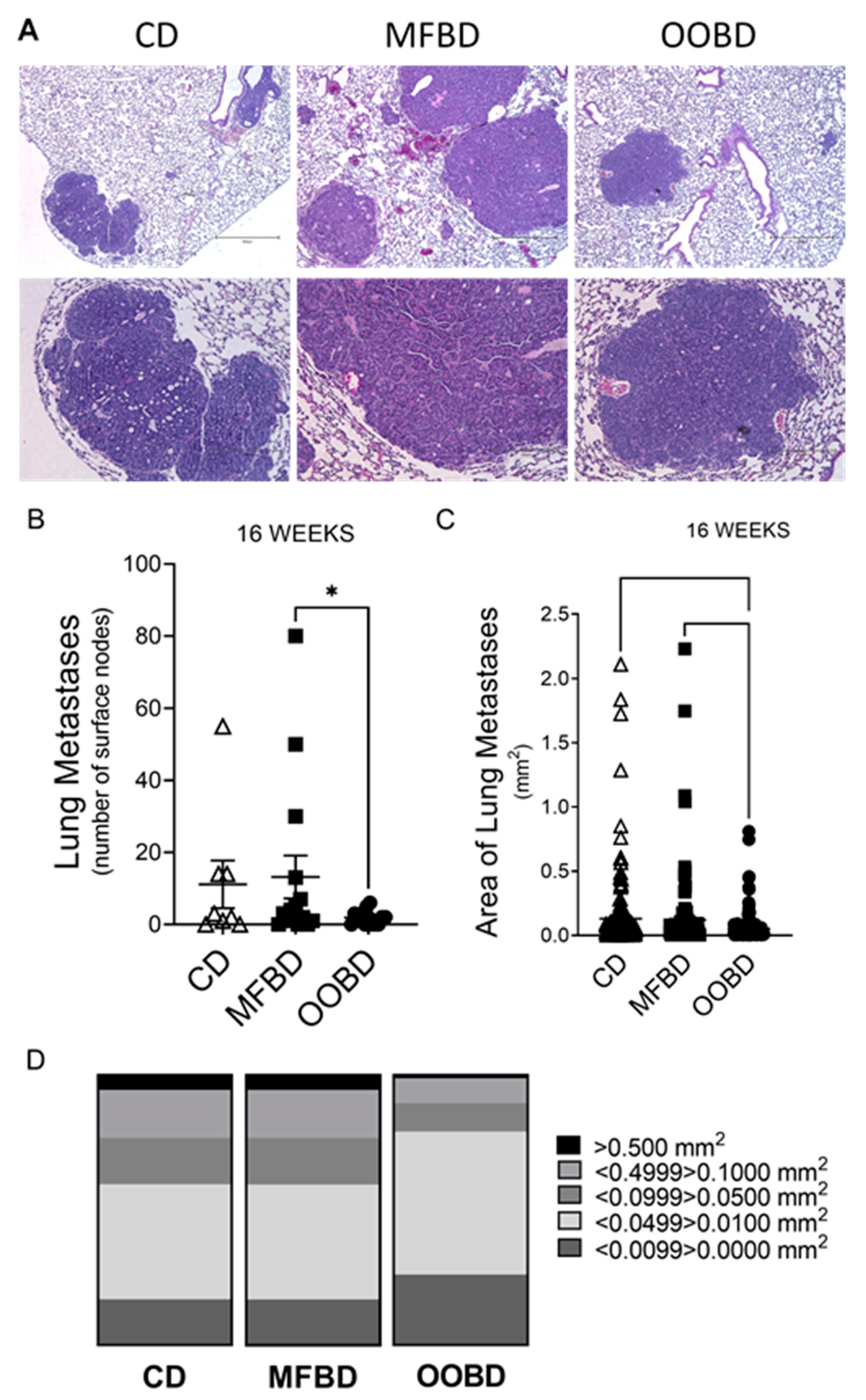 Nutrients 13 02431 g002