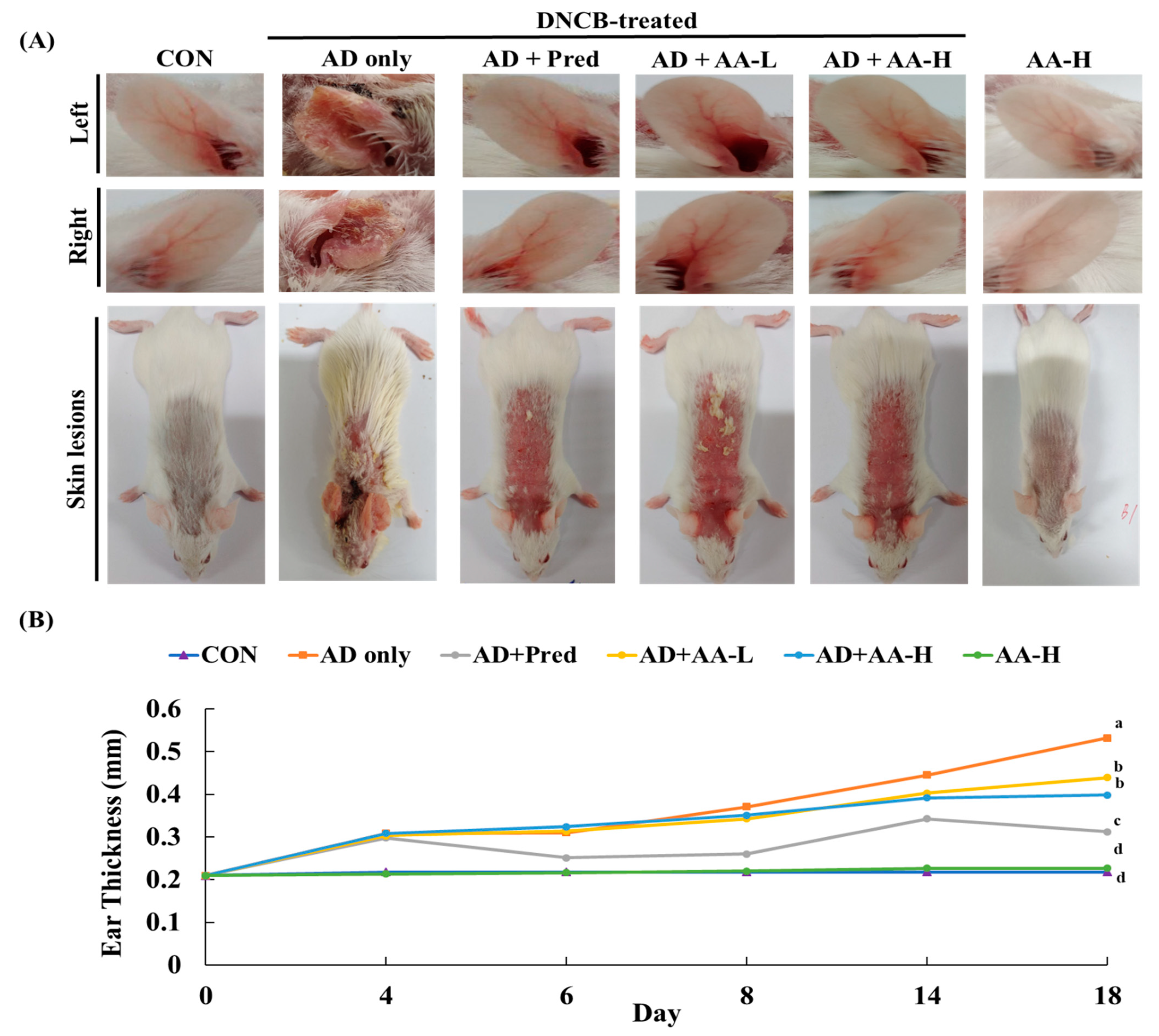 Nutrients 13 02448 g003