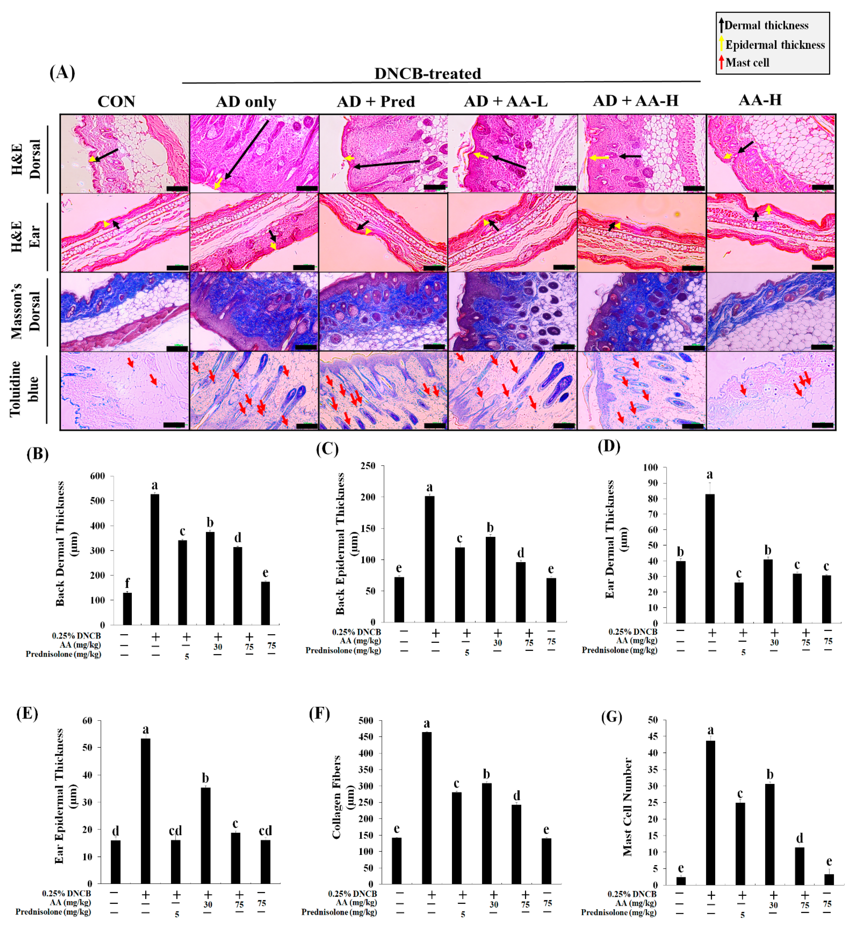 Nutrients 13 02448 g005