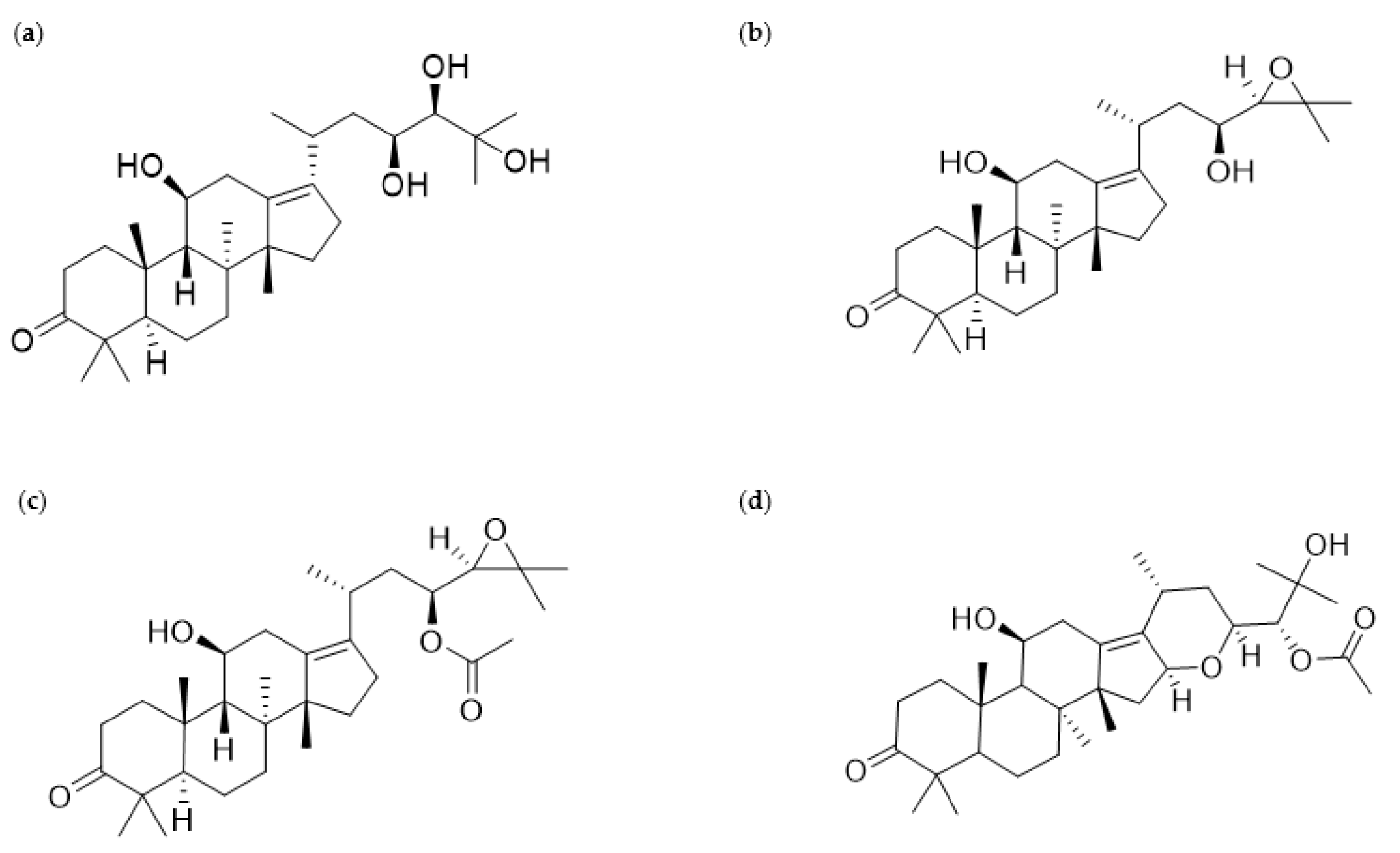 Nutrients 13 02455 g001