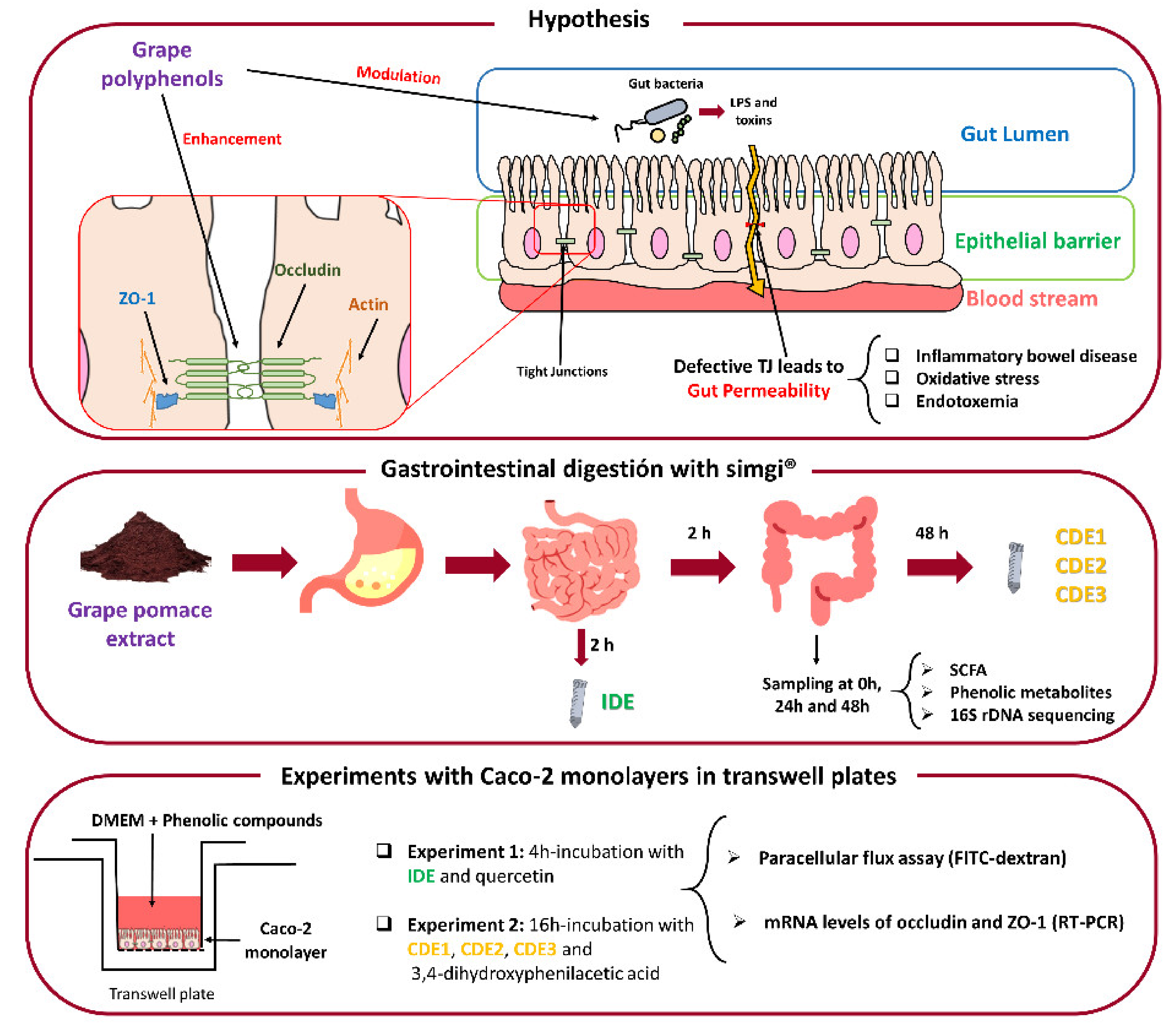 Nutrients 13 02467 g001 550