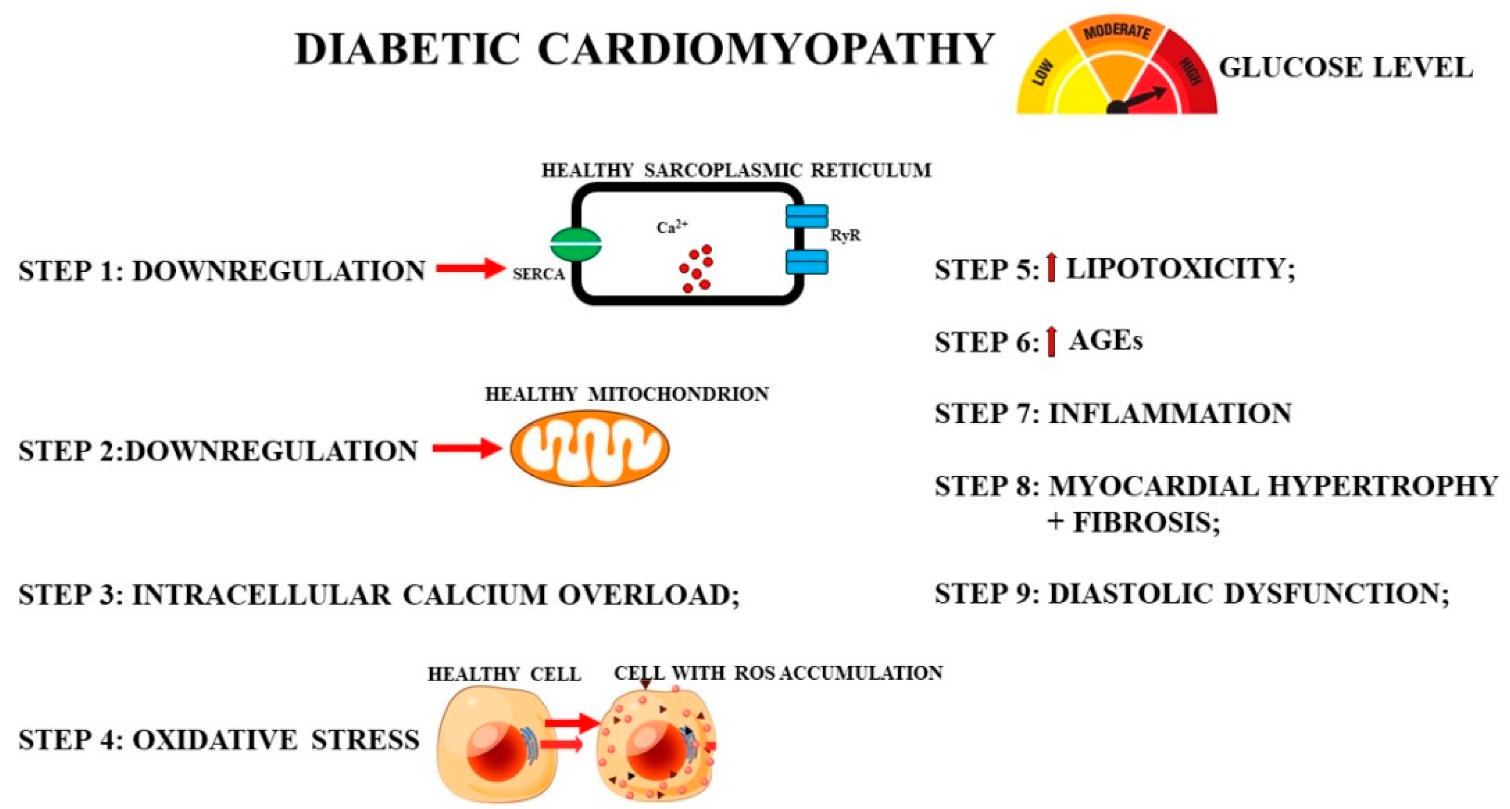 Nutrients 13 02476 g003