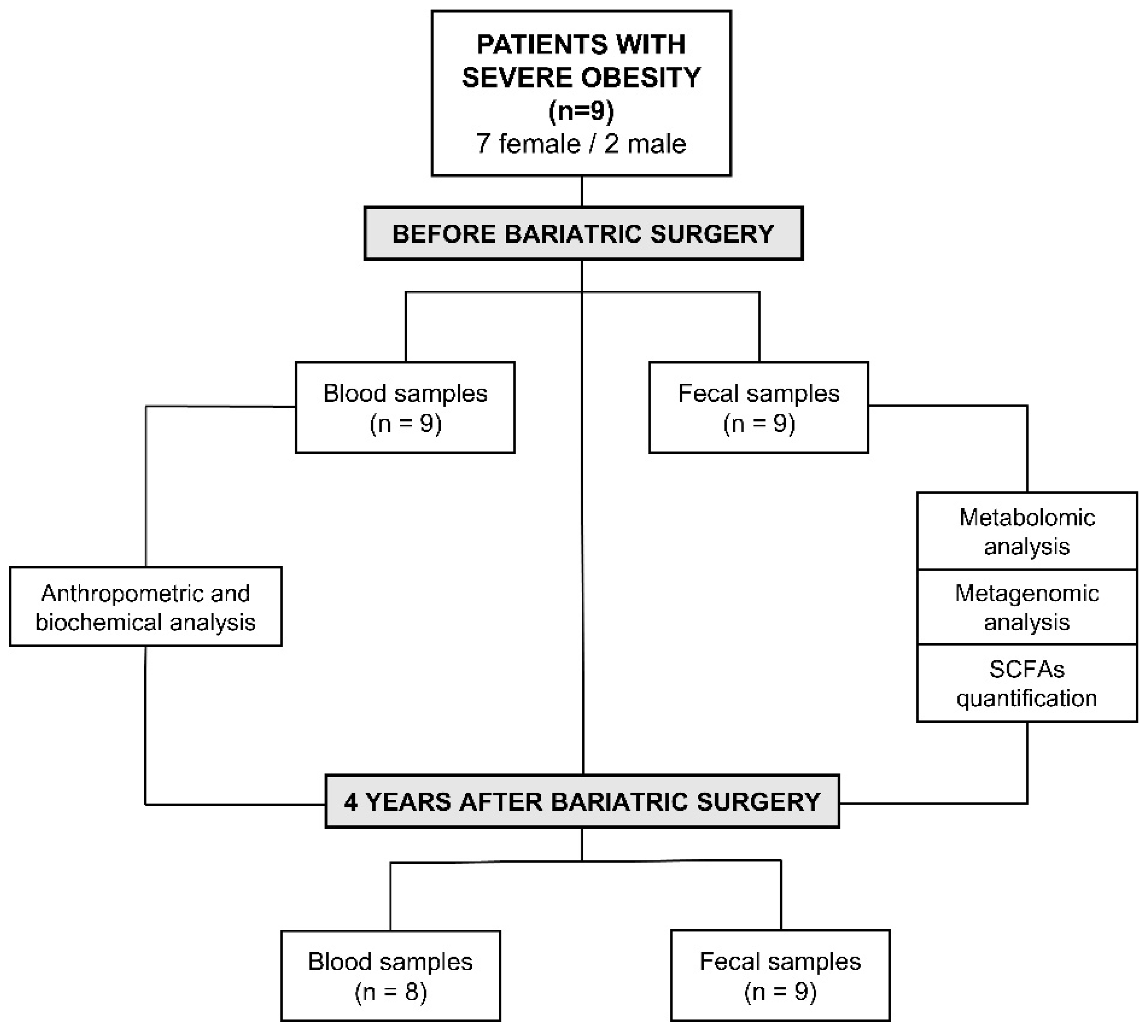 Nutrients 13 02519 g001