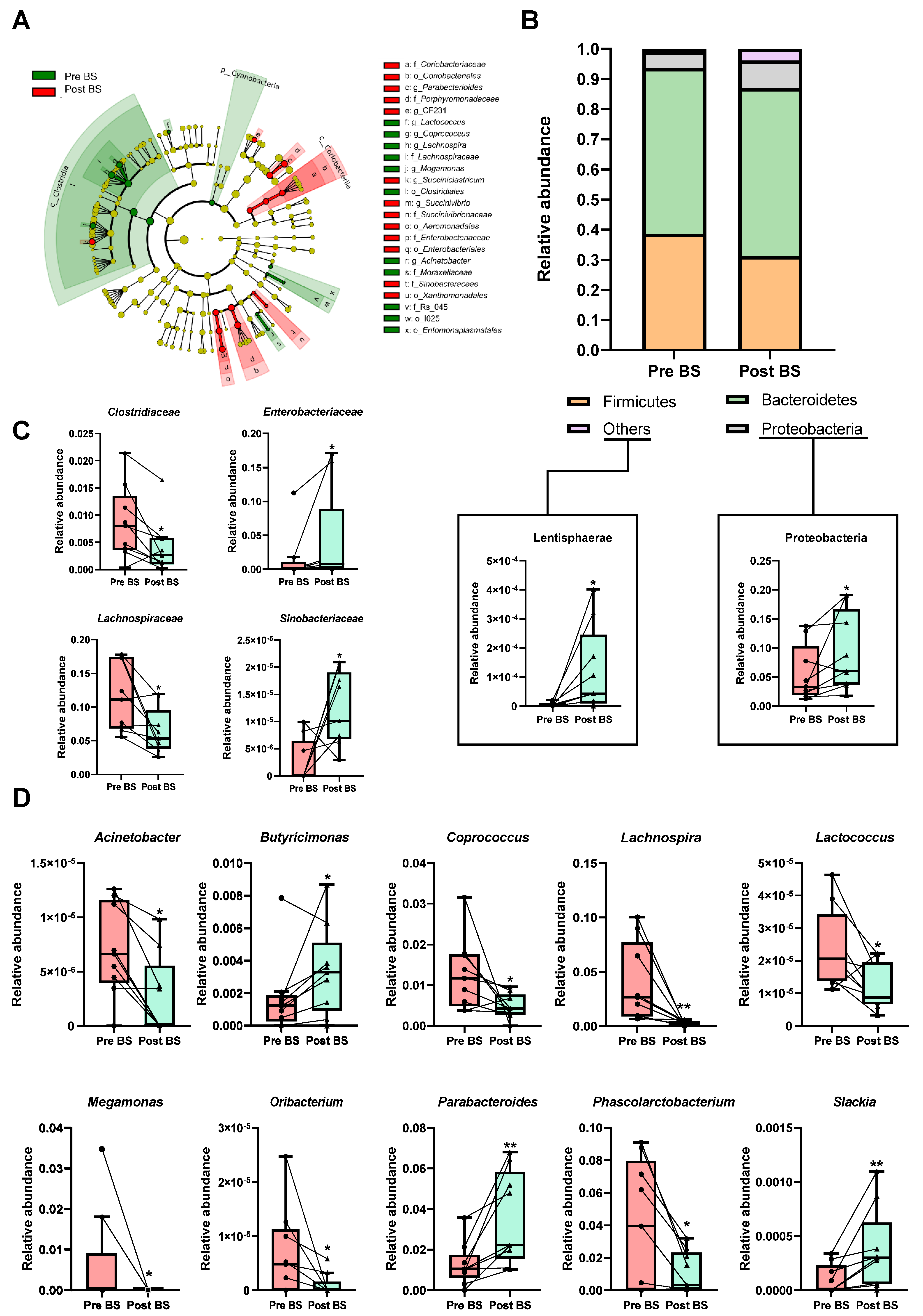 Nutrients 13 02519 g002