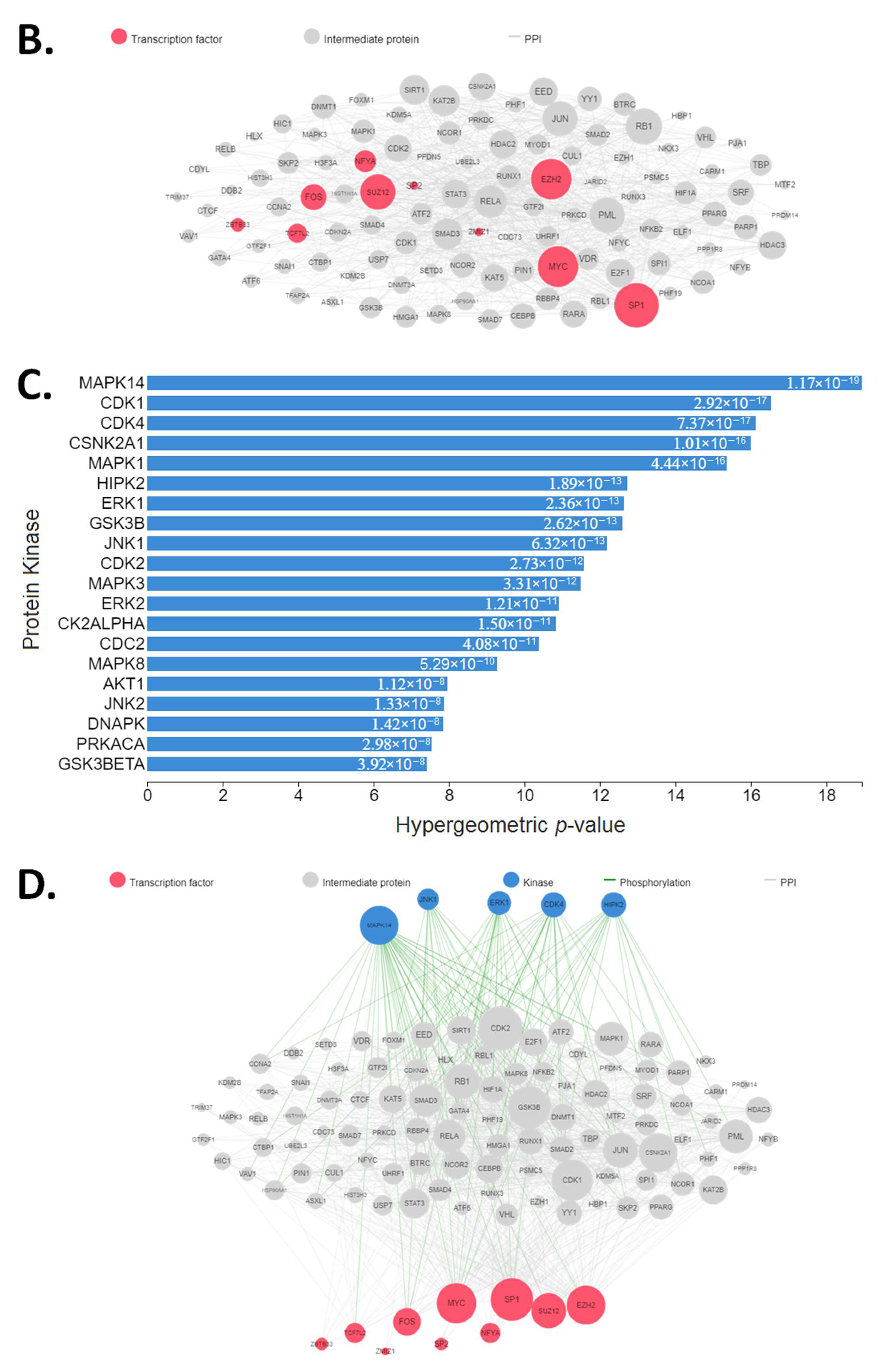 Nutrients 13 02521 g003b Nutrients 13 02521 g003b