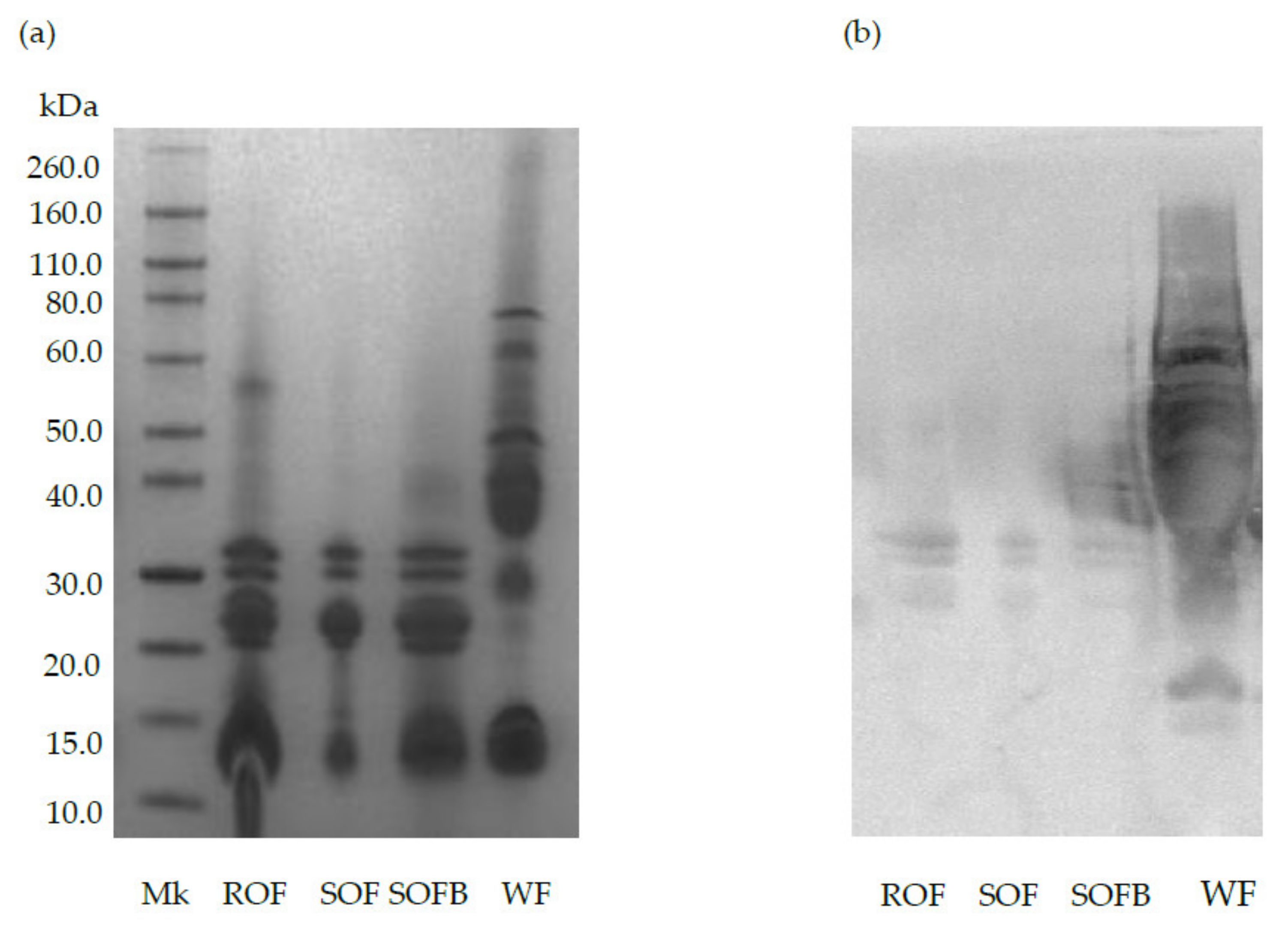 Nutrients 13 02522 g001 Nutrients 13 02522 g001