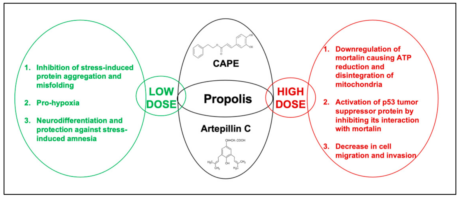 propolis prostatitis kezelés