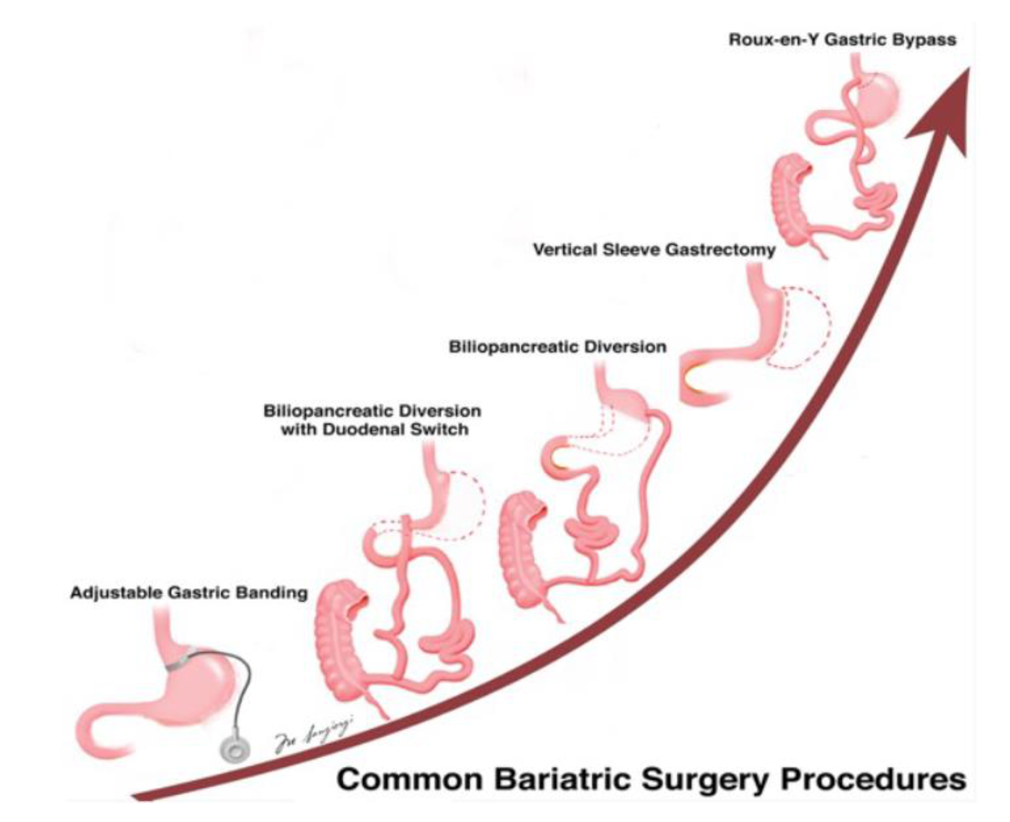 Nutrients 13 02541 g001 Nutrients 13 02541 g001