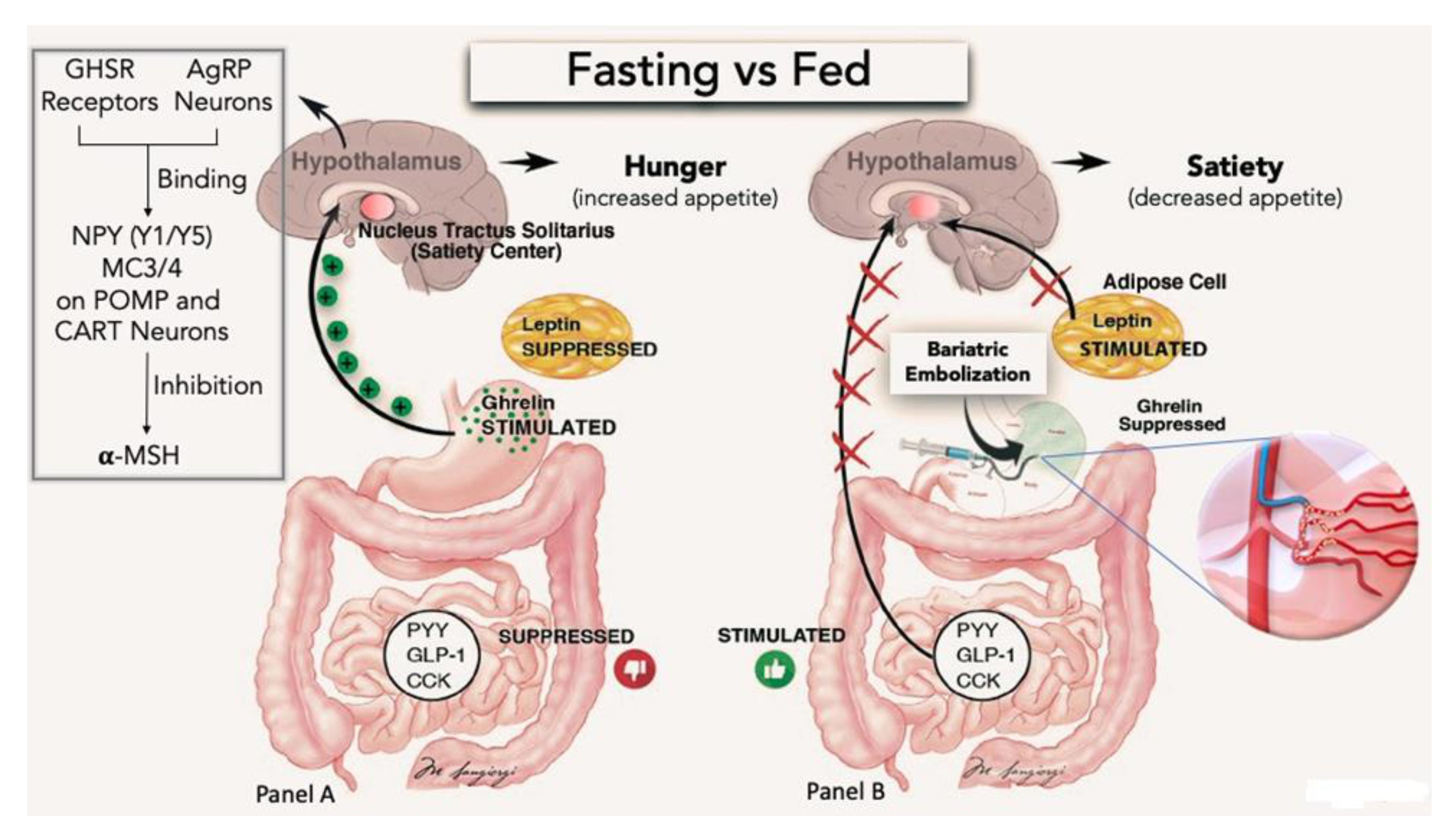 Nutrients 13 02541 g002 Nutrients 13 02541 g002